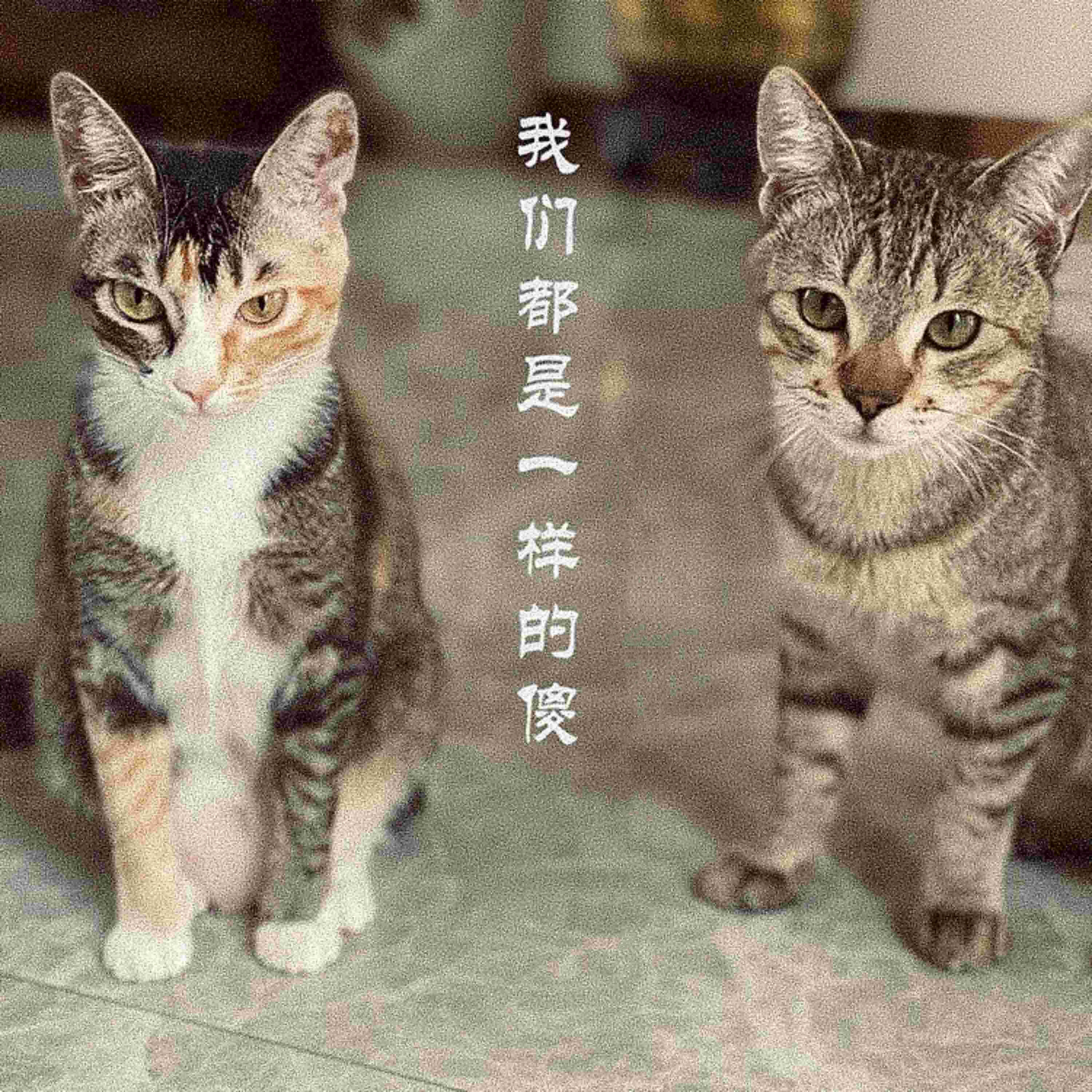 Релиз 我们都是一样的傻