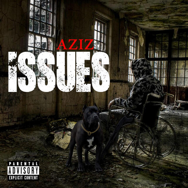Релиз Issues