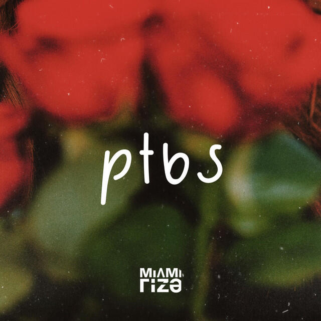 Релиз PTBS
