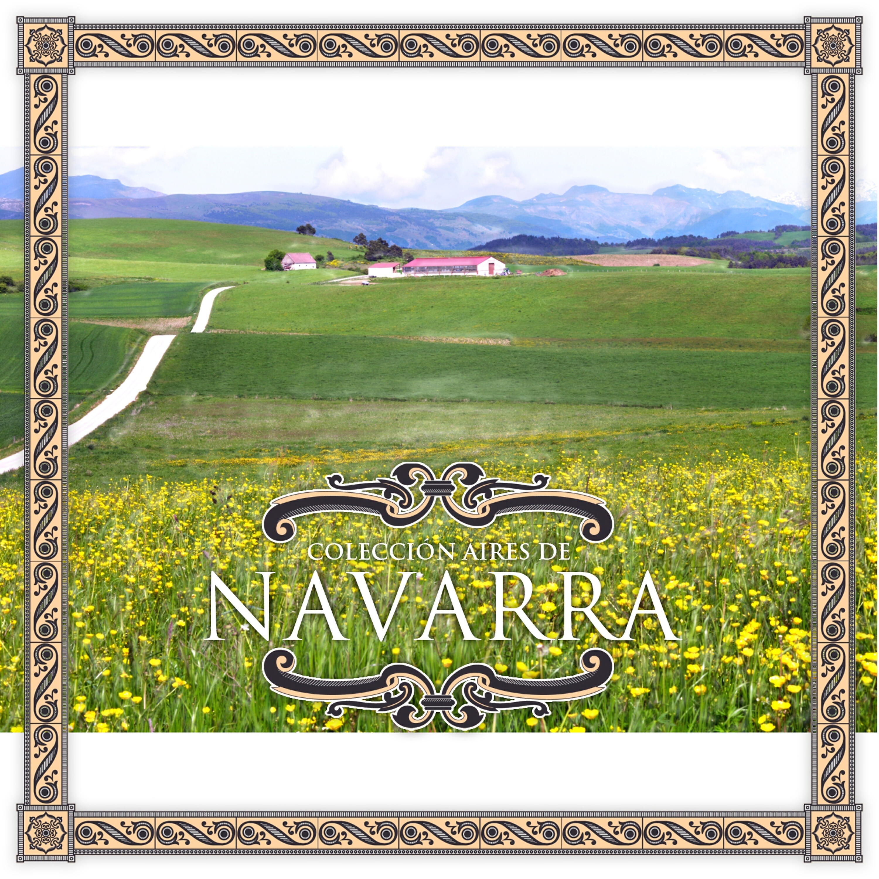 Релиз Colección Aires de: Navarra