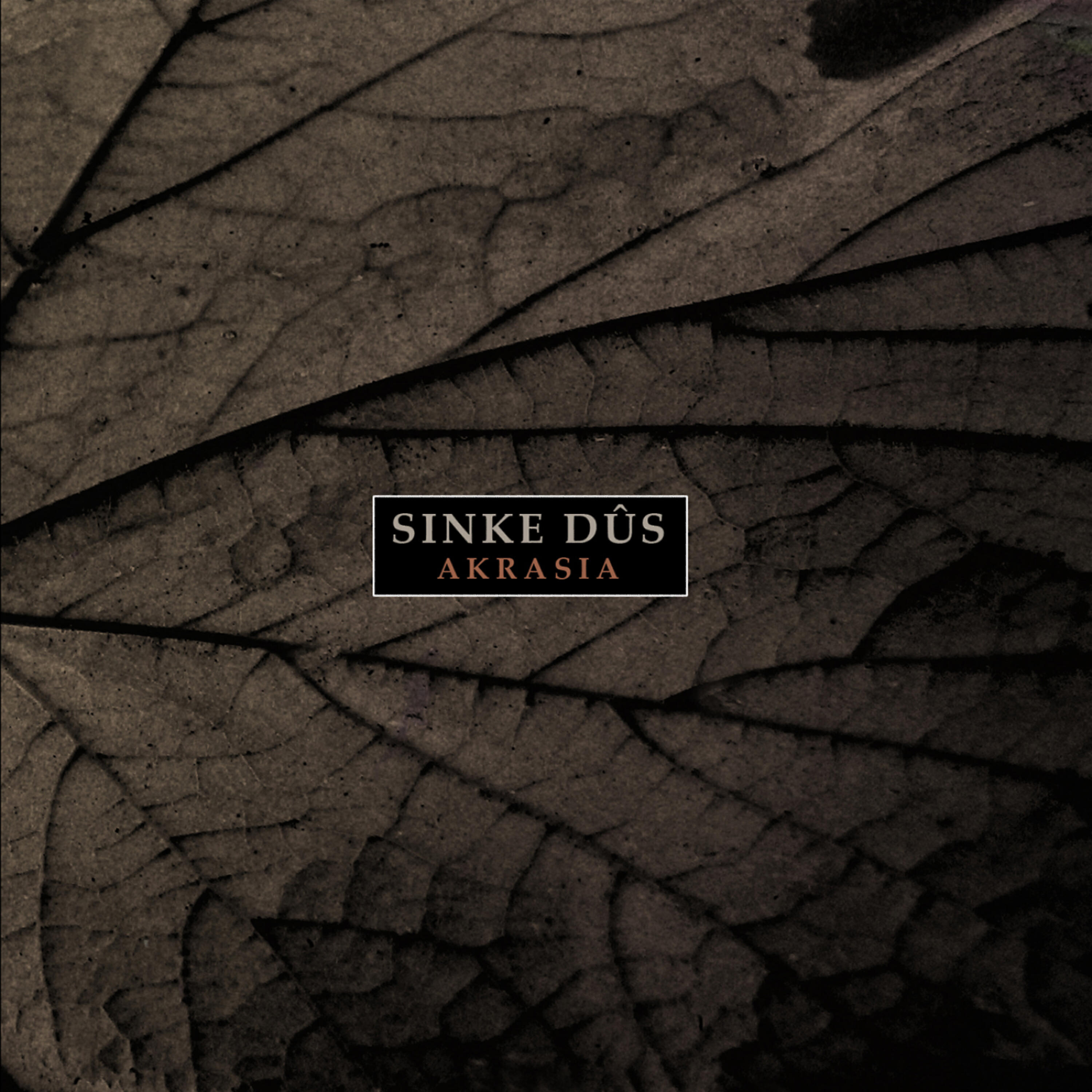 Sinke Dûs