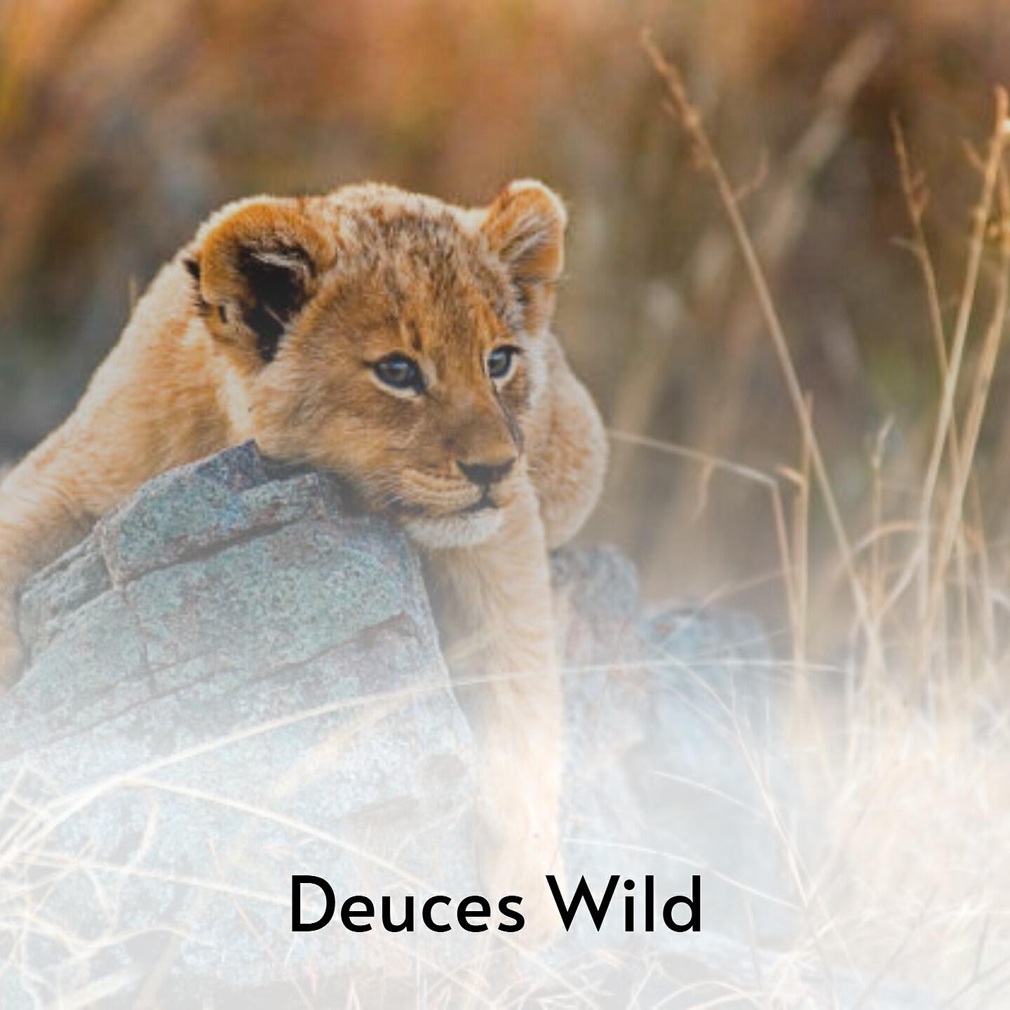 Релиз Deuces Wild