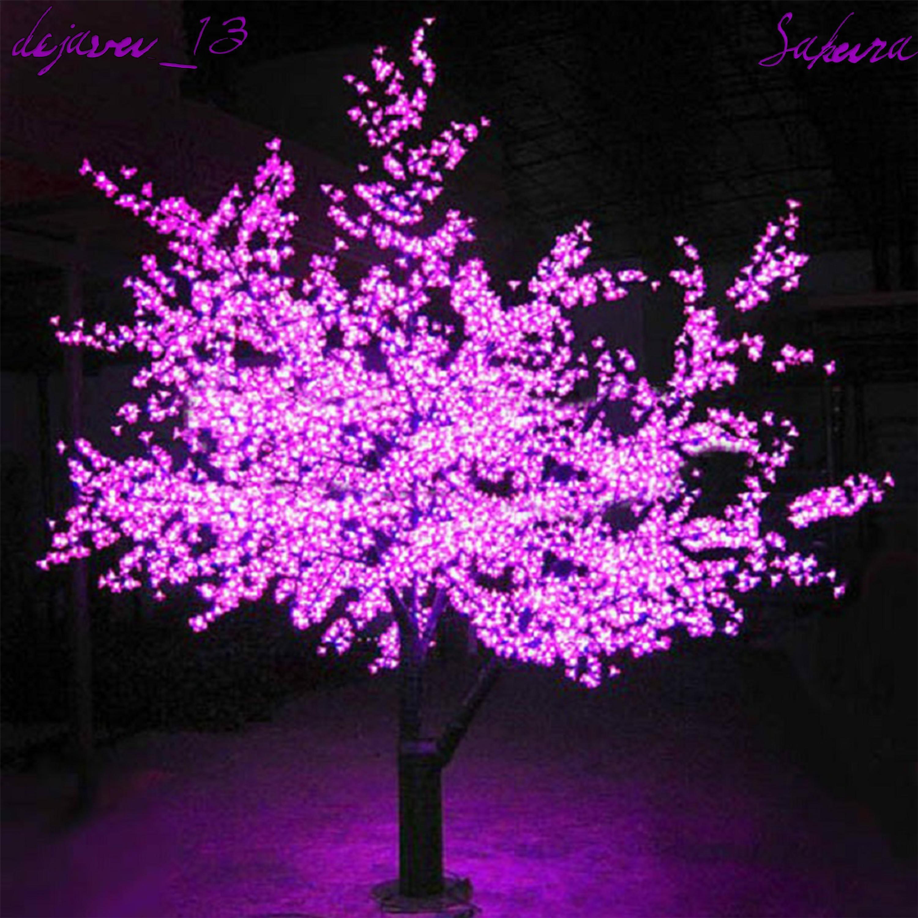 Релиз Sakura