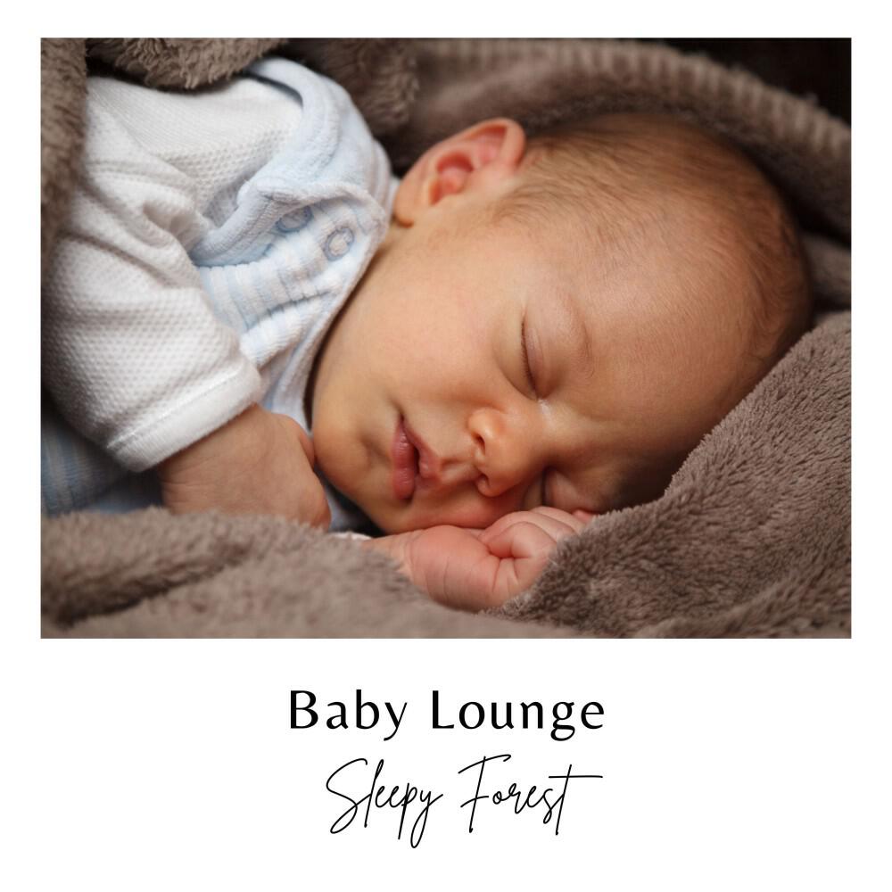 Релиз Sleepy Forest: Lullabies