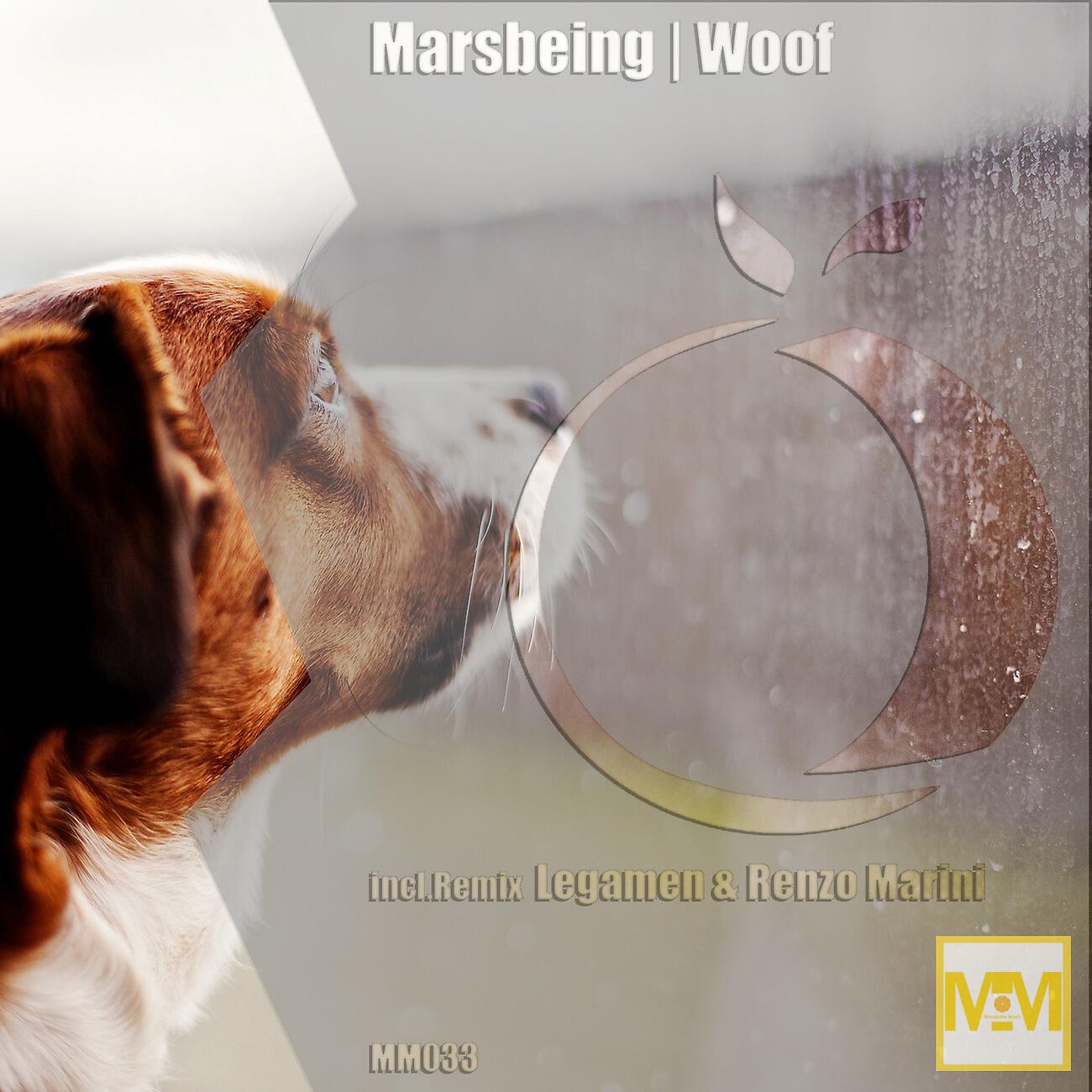 Релиз Woof