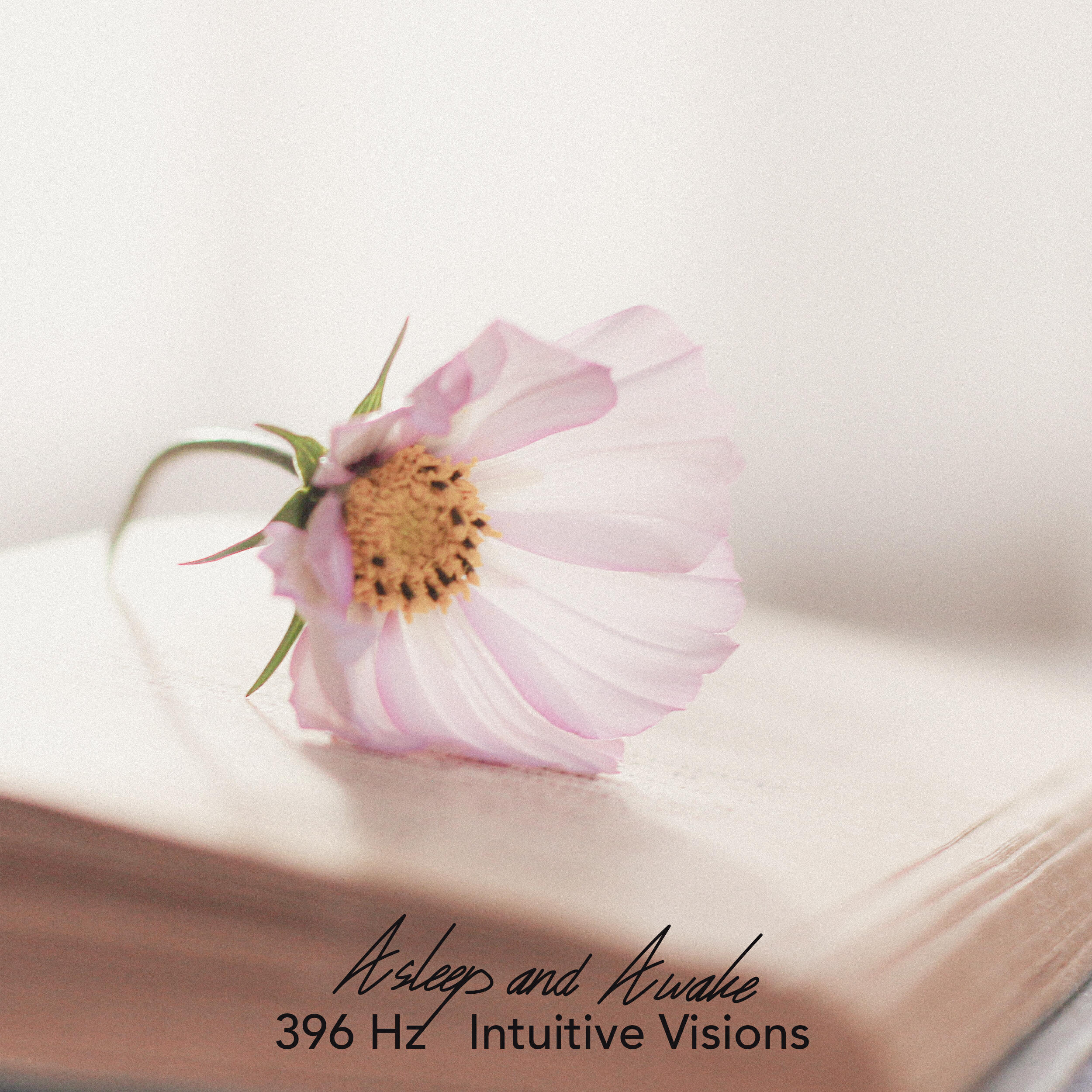 Релиз 396 Hz Intuitive Visions