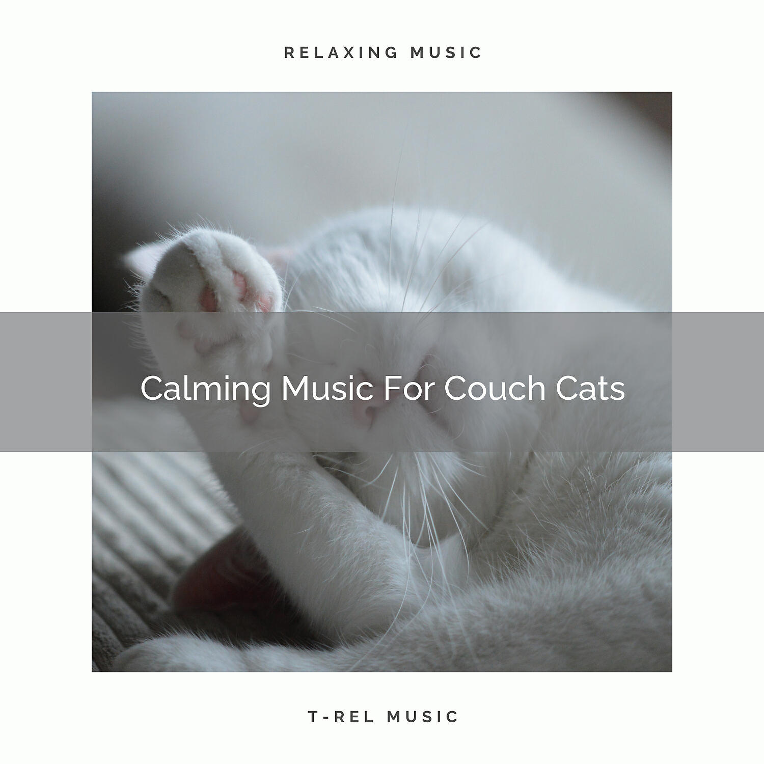 Релиз Calming Music For Couch Cats