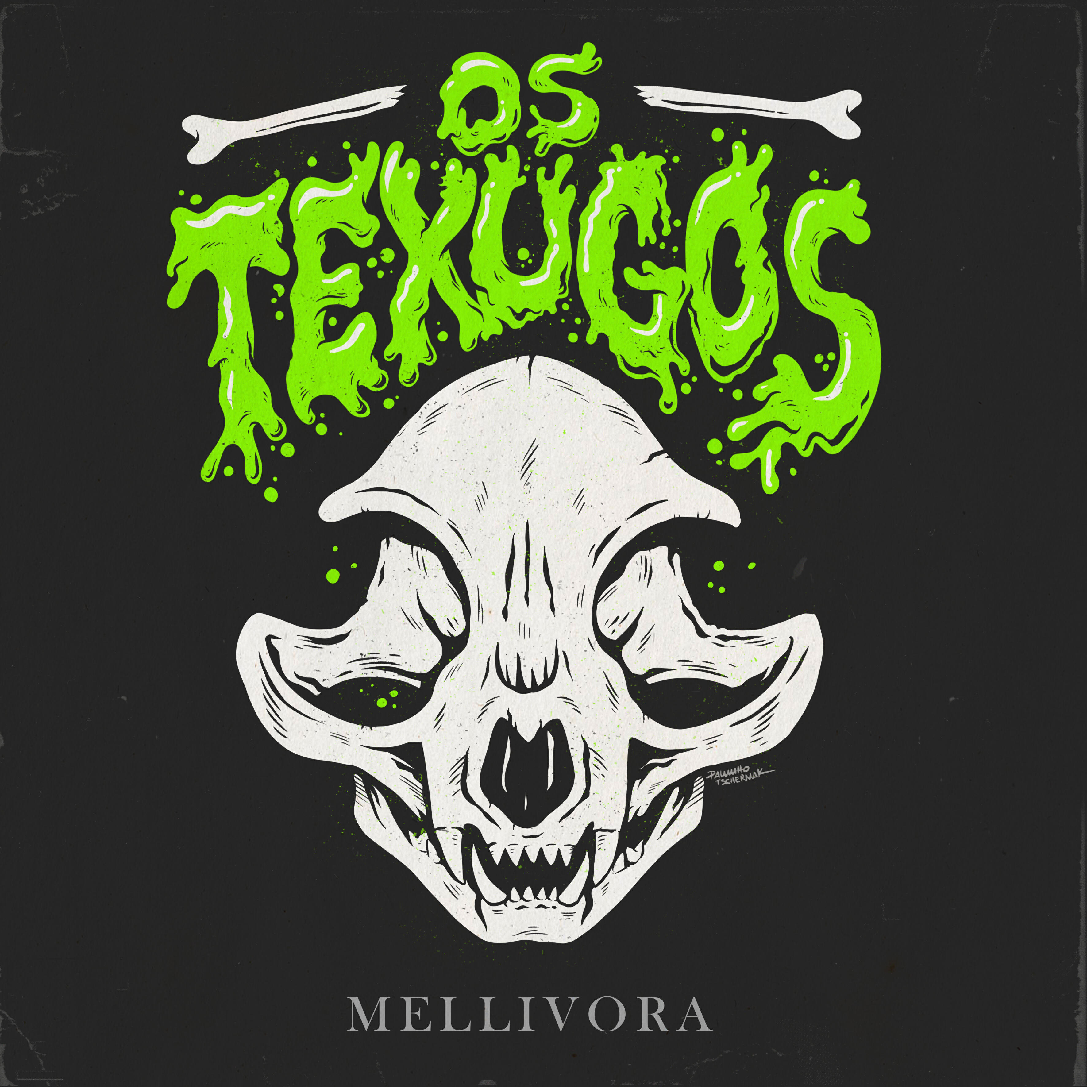 os texugos