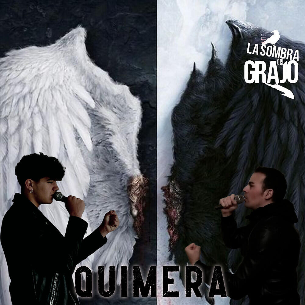 La Sombra del Grajo