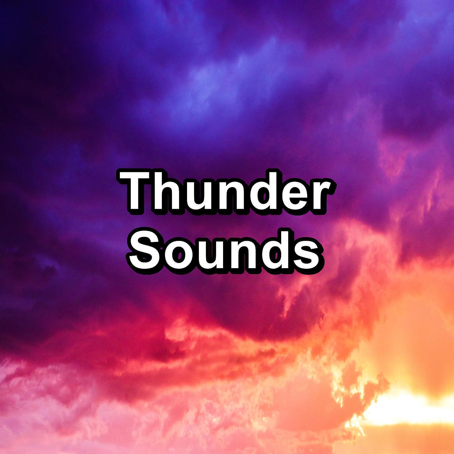 Релиз Thunder Sounds