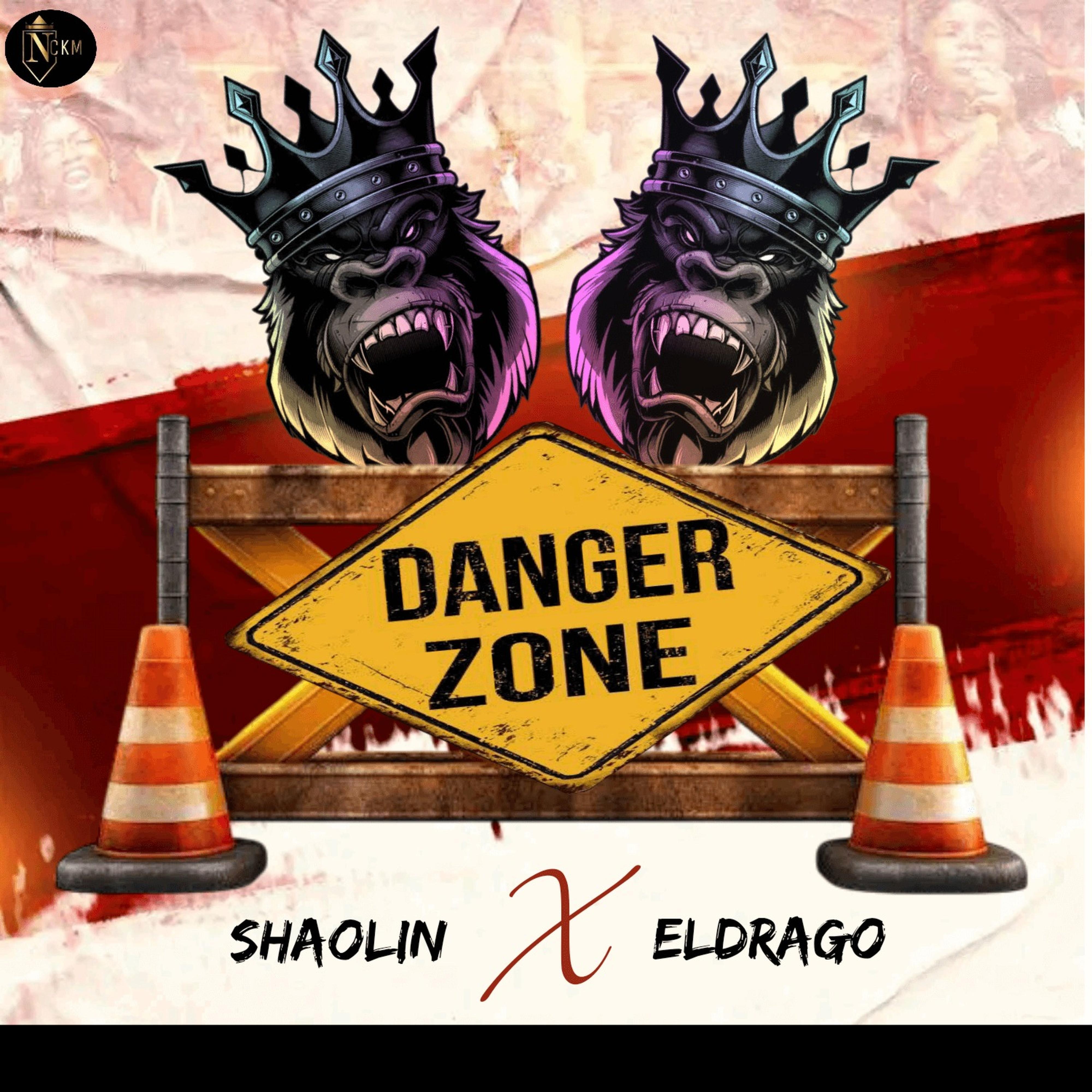 Релиз Danger zone (feat. Eldrago)