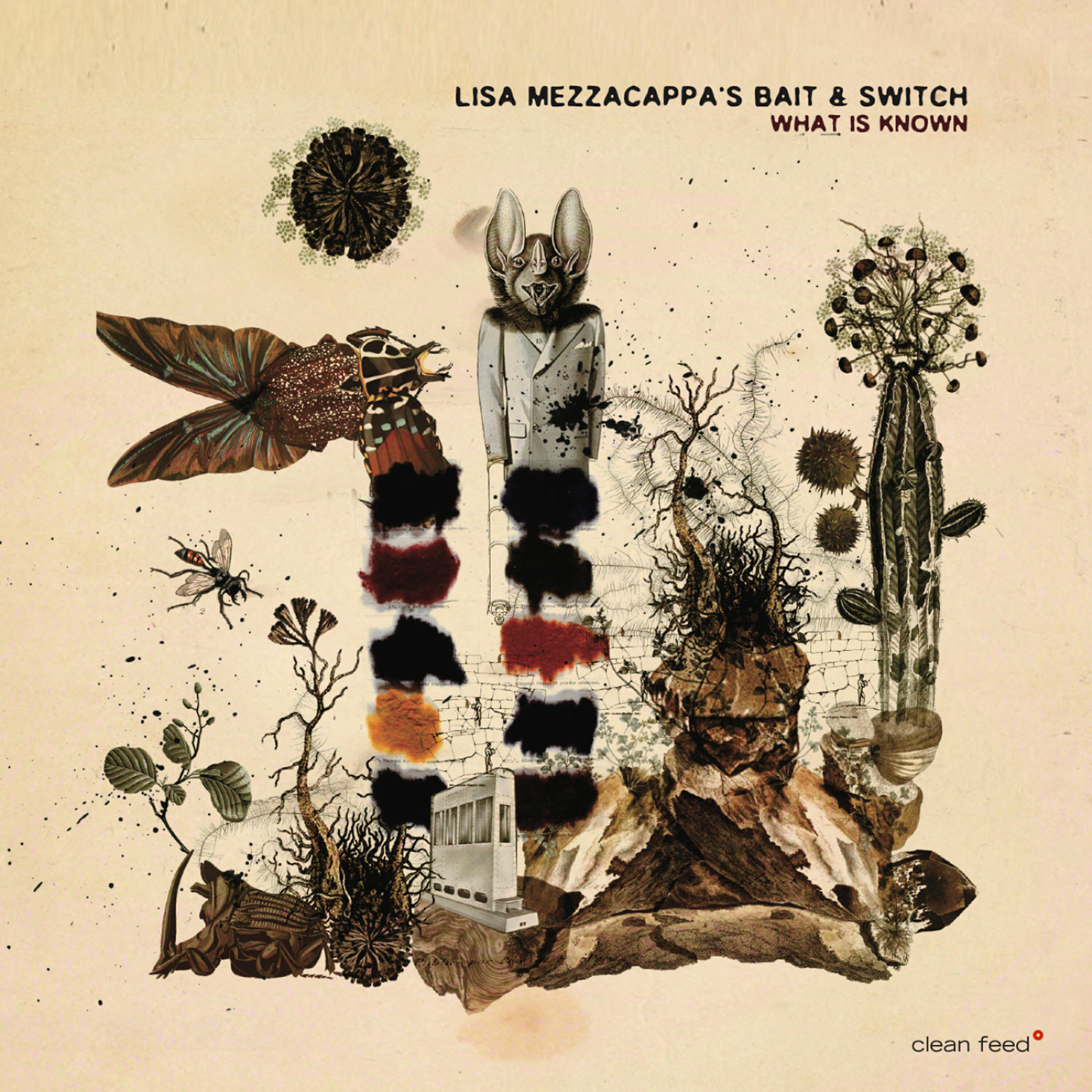 Lisa Mezzacappa's Bait
