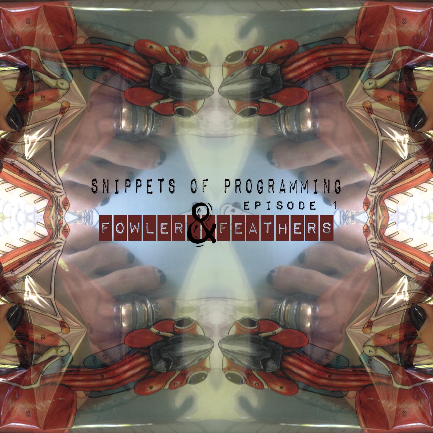 Релиз Snippets of Programming, Episode One