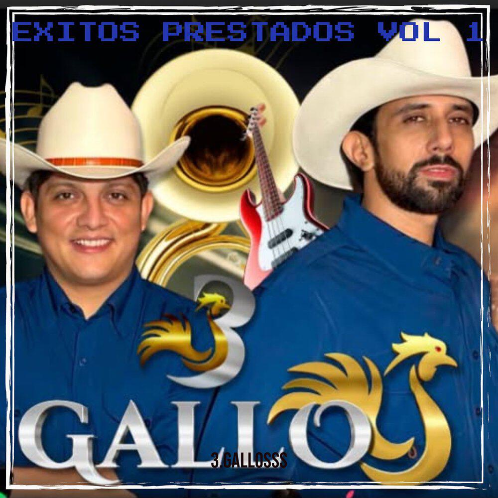 3.gallosss