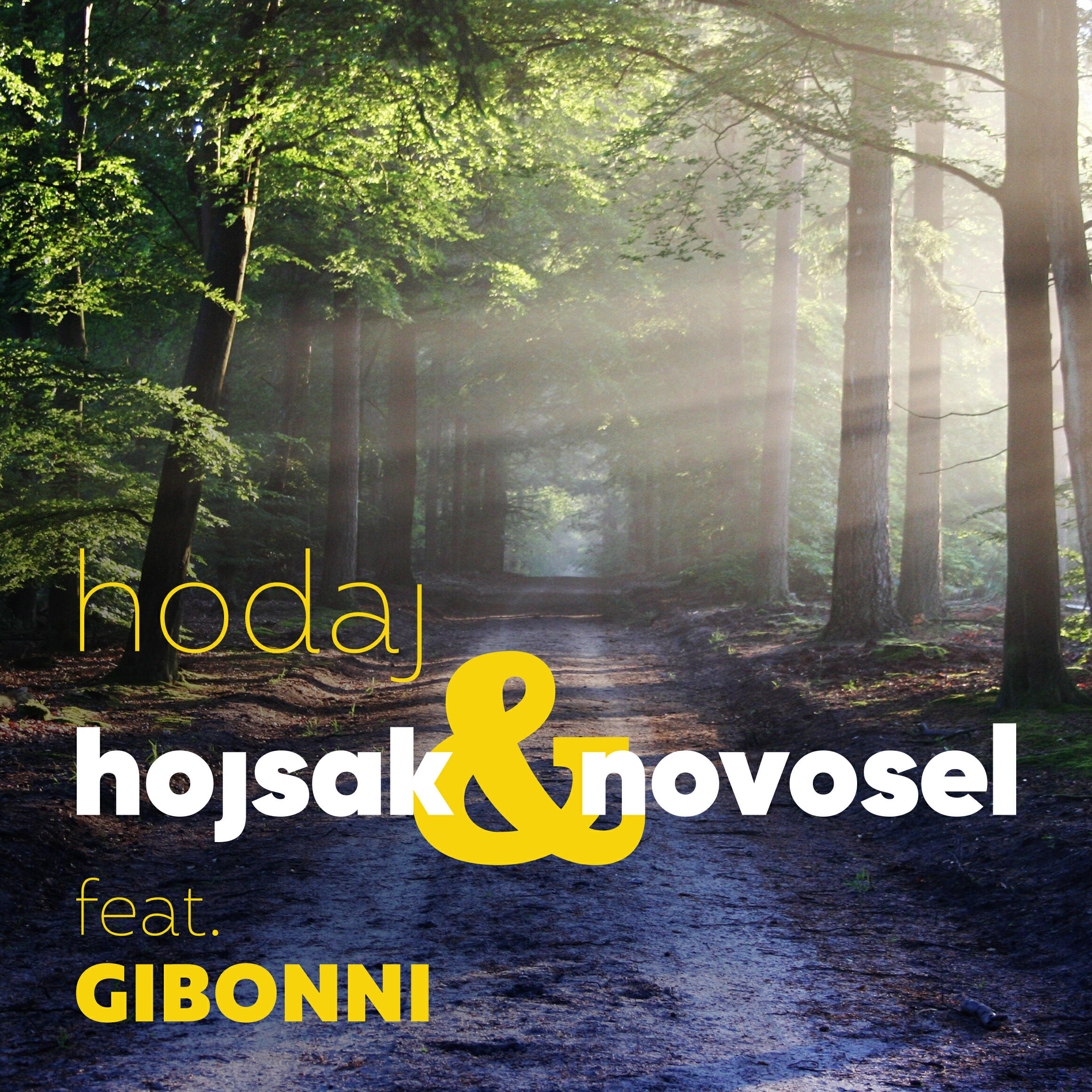 Hojsak