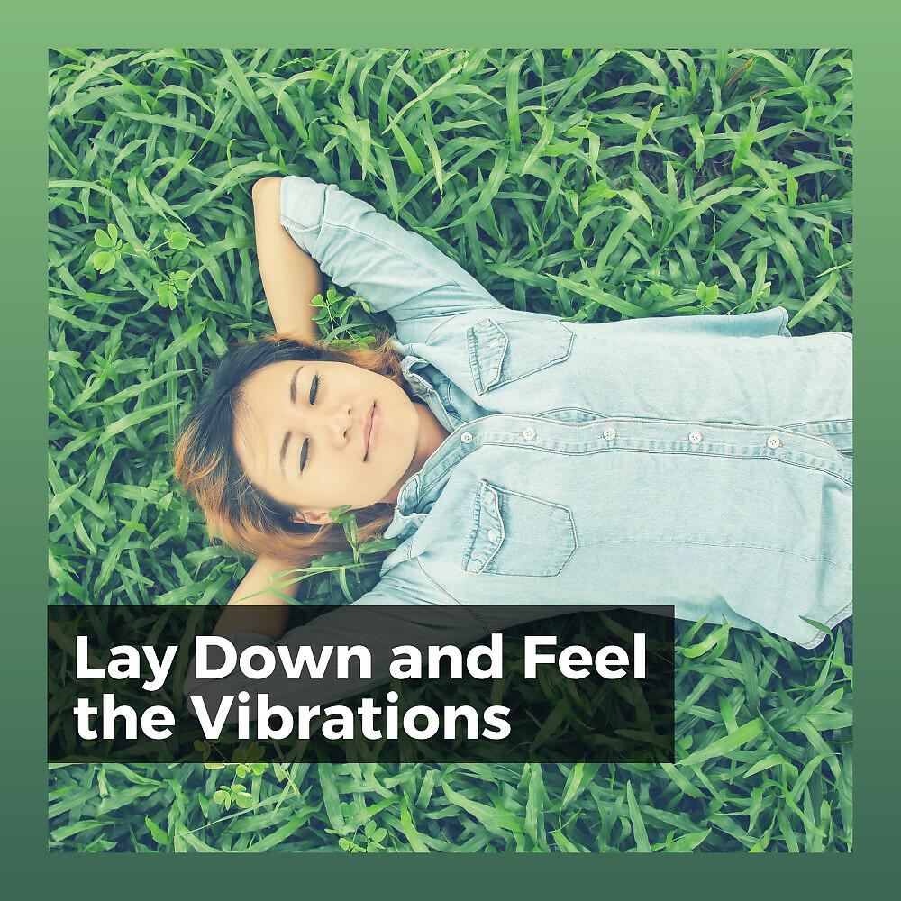 Релиз Lay Down and Feel the Vibrations