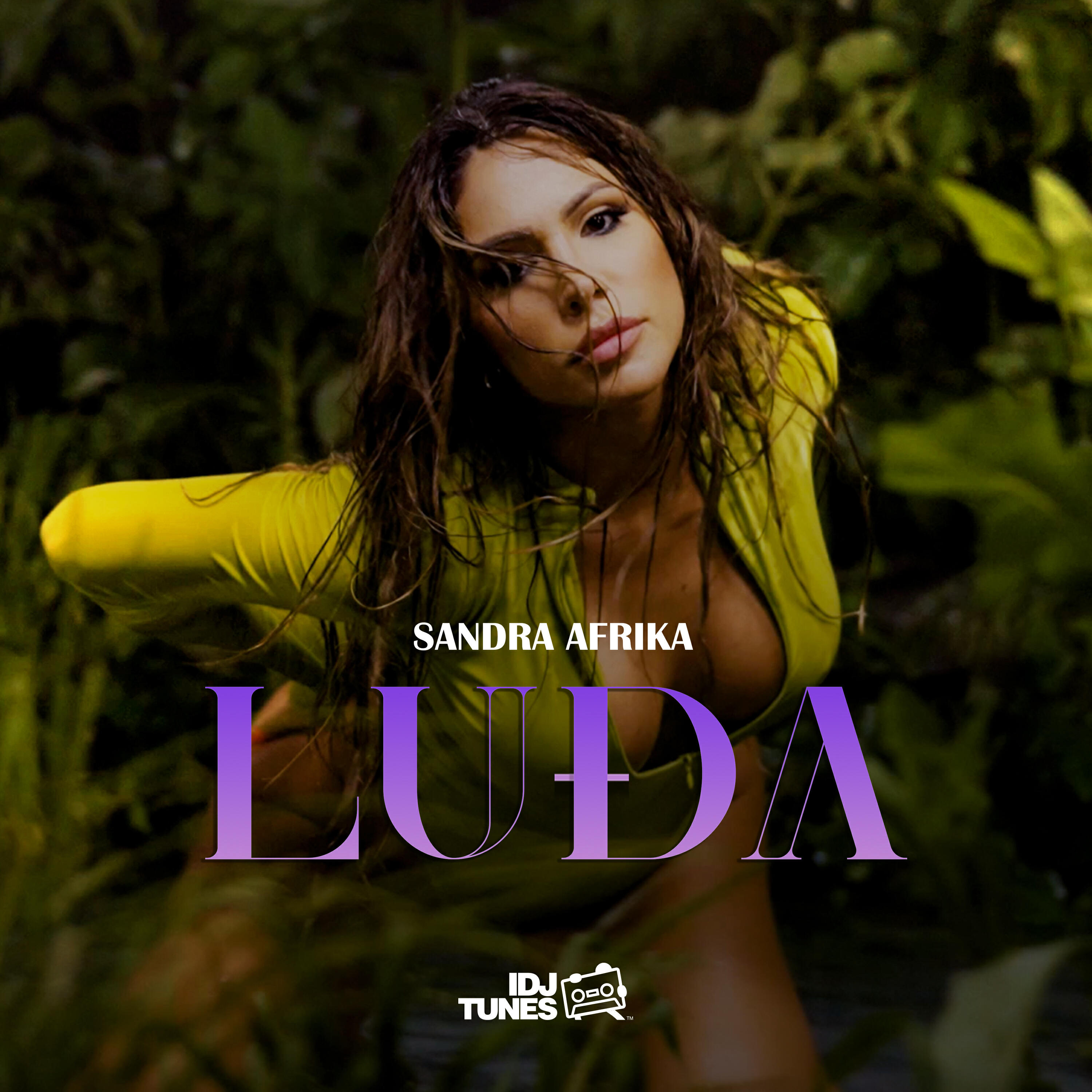 Релиз Ludja