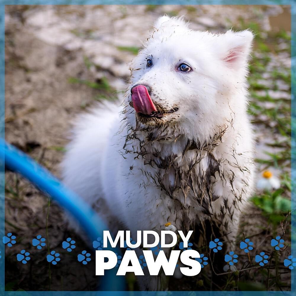 Релиз Muddy Paws