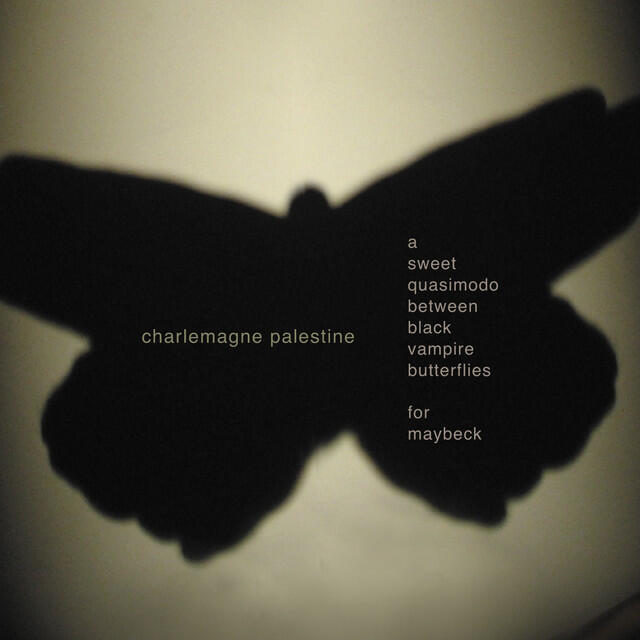 Релиз A Sweet Quasimodo Between Black Vampire Butterflies for Maybeck