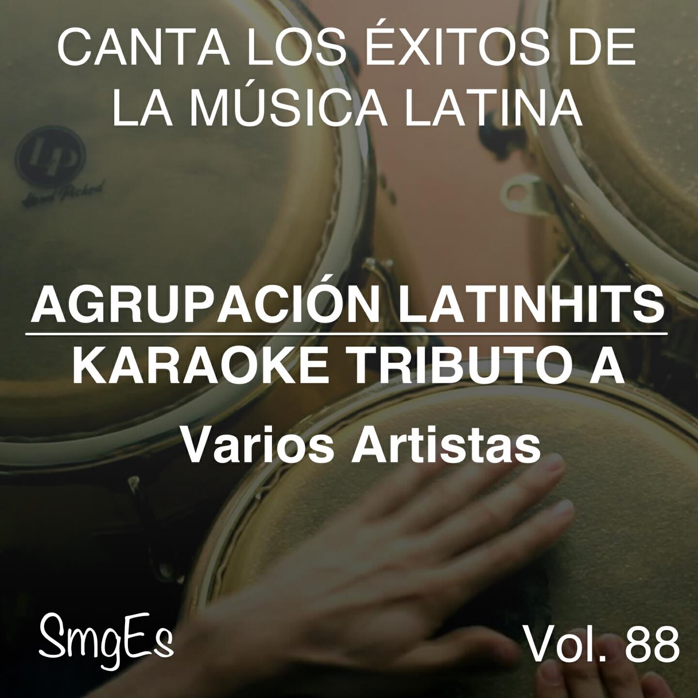 Релиз Instrumental Karaoke Series: Varios Artistas, Vol. 88