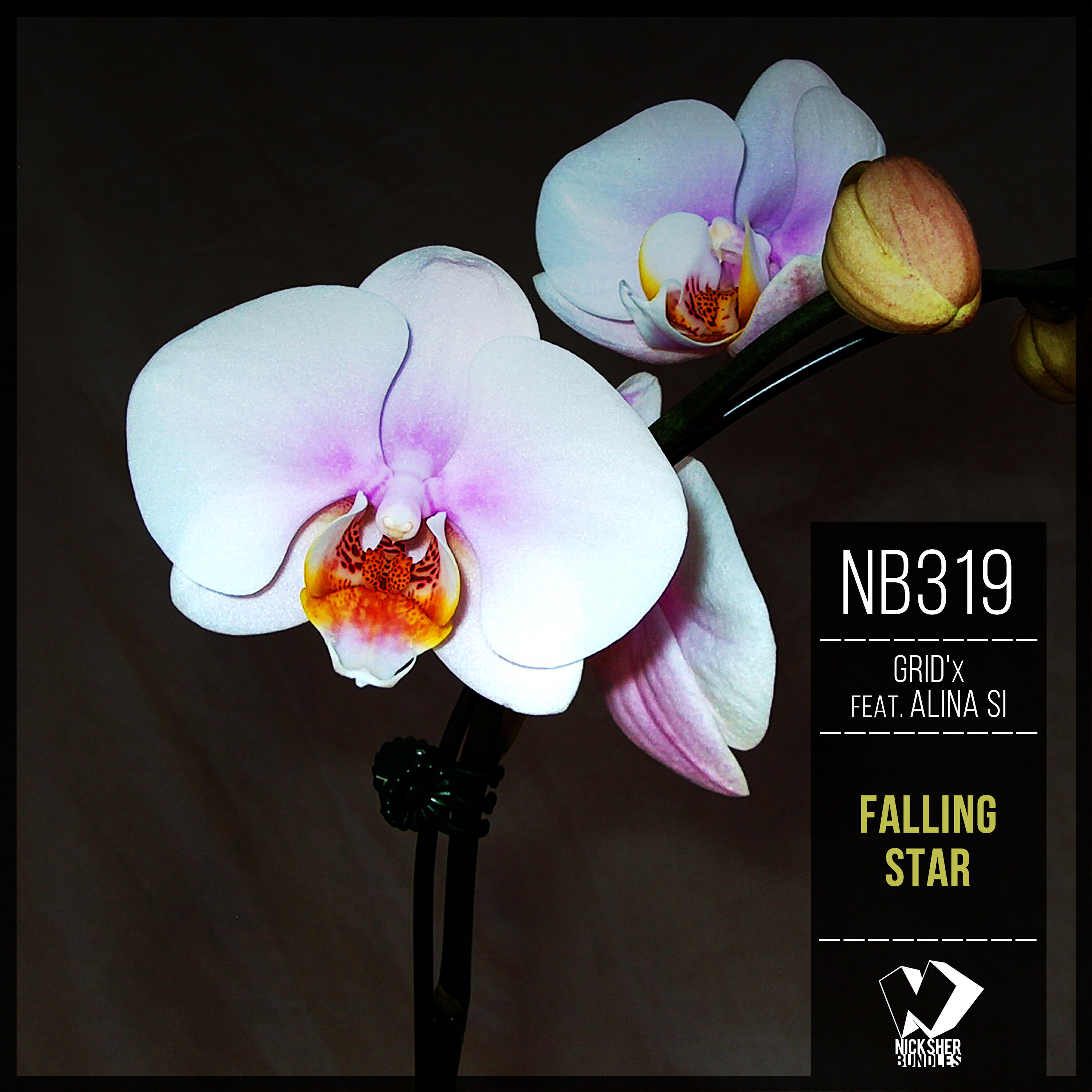 Релиз Falling Star (Original Mix)