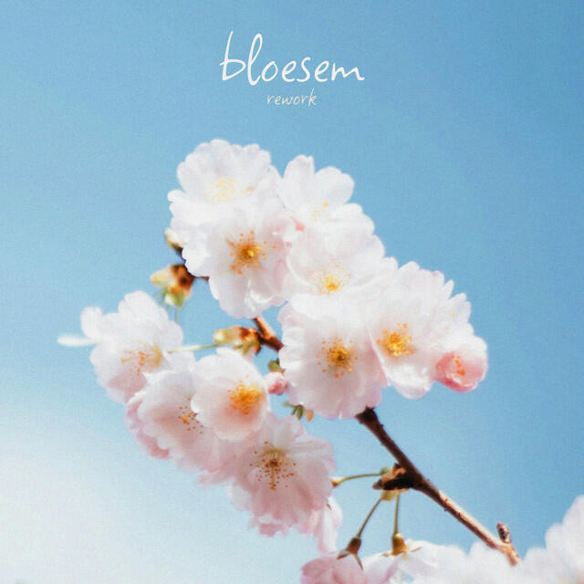 Релиз bloesem (rework)