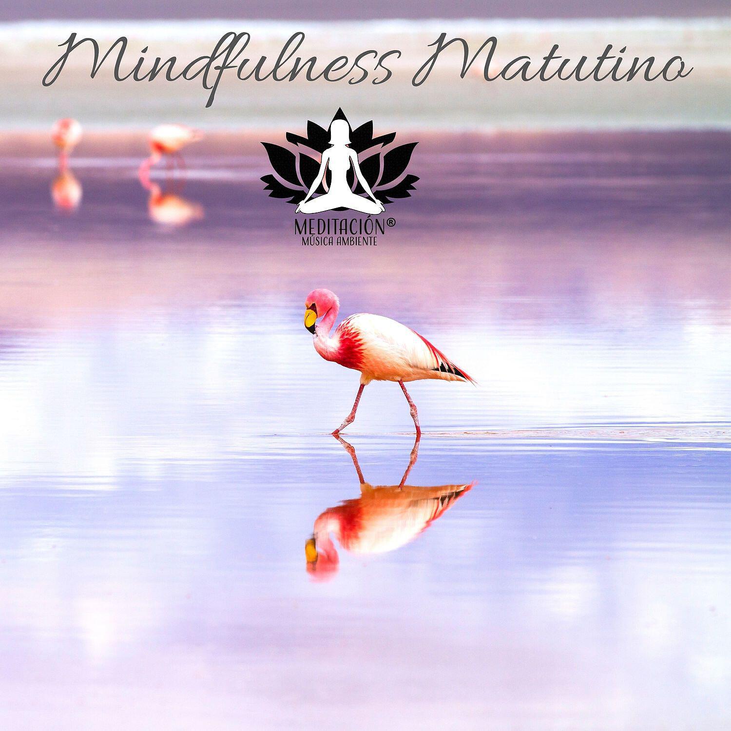 Релиз Mindfulness Matutino: Meditacion Zen Curativa, Música de Spa, Reiki, Sonidos de la Naturaleza