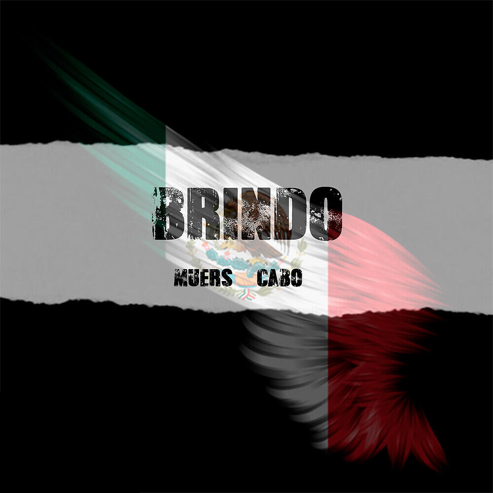Релиз Brindo