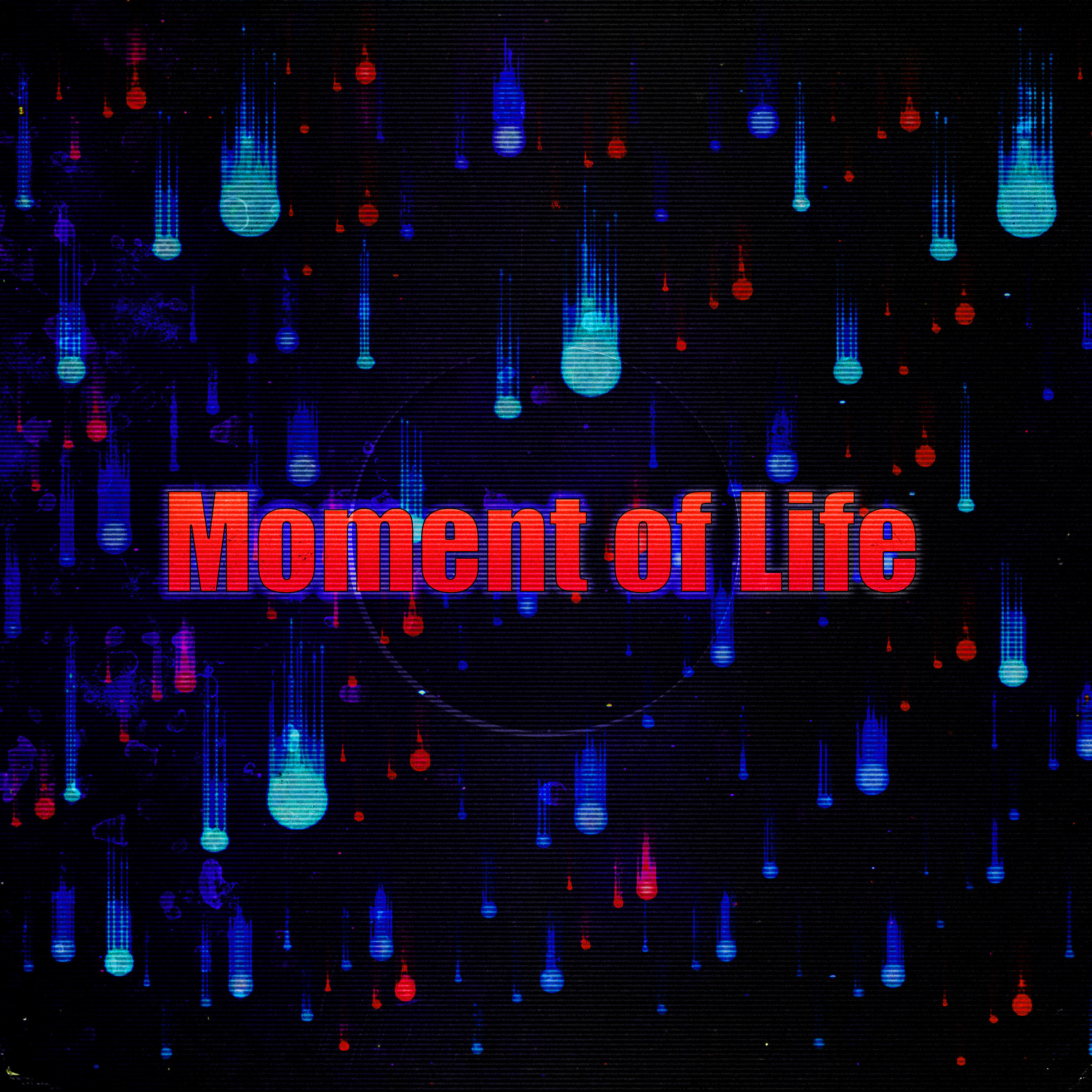 Релиз Moment of Life