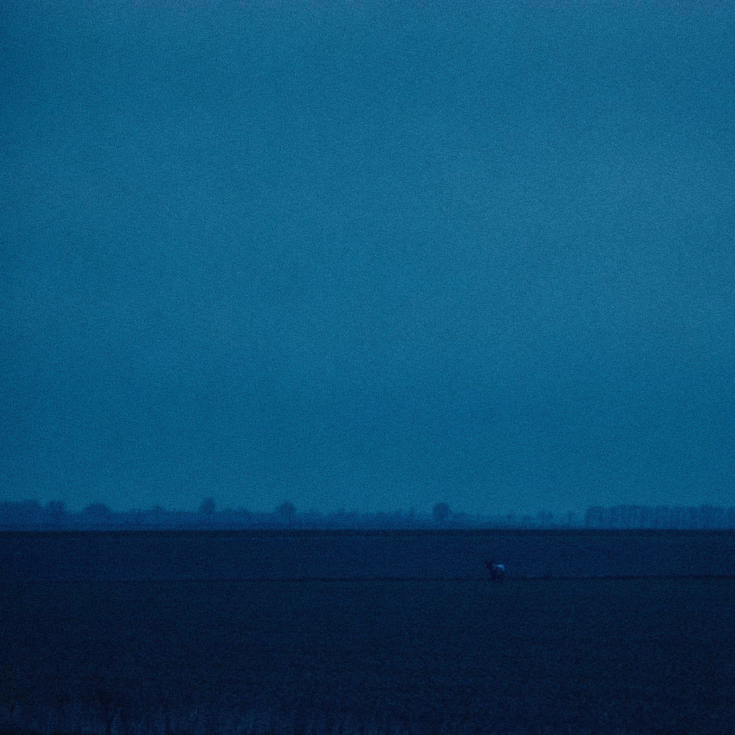 Релиз hayloft in zherdevka