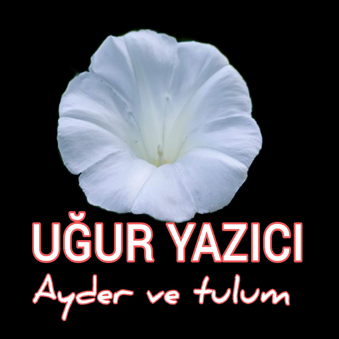 Релиз Ayder ve Tulum