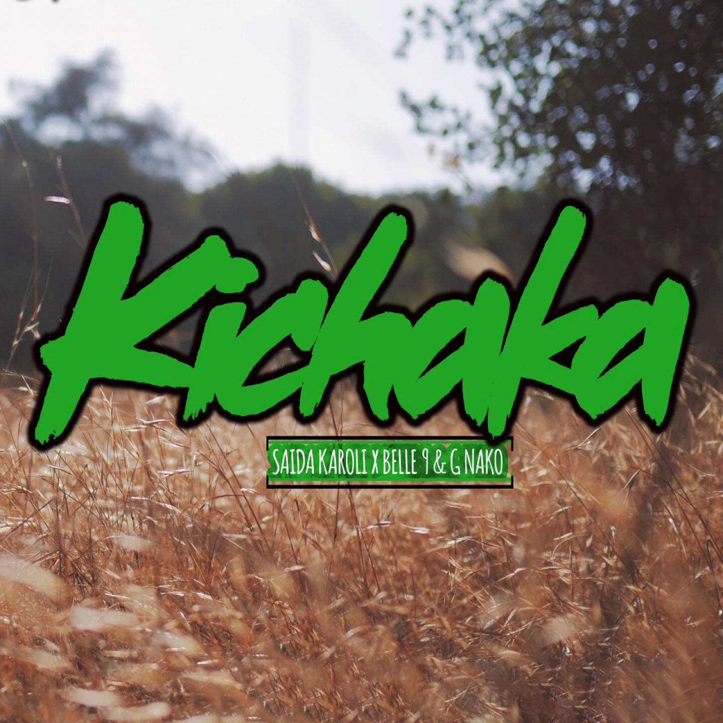 Релиз Kichaka