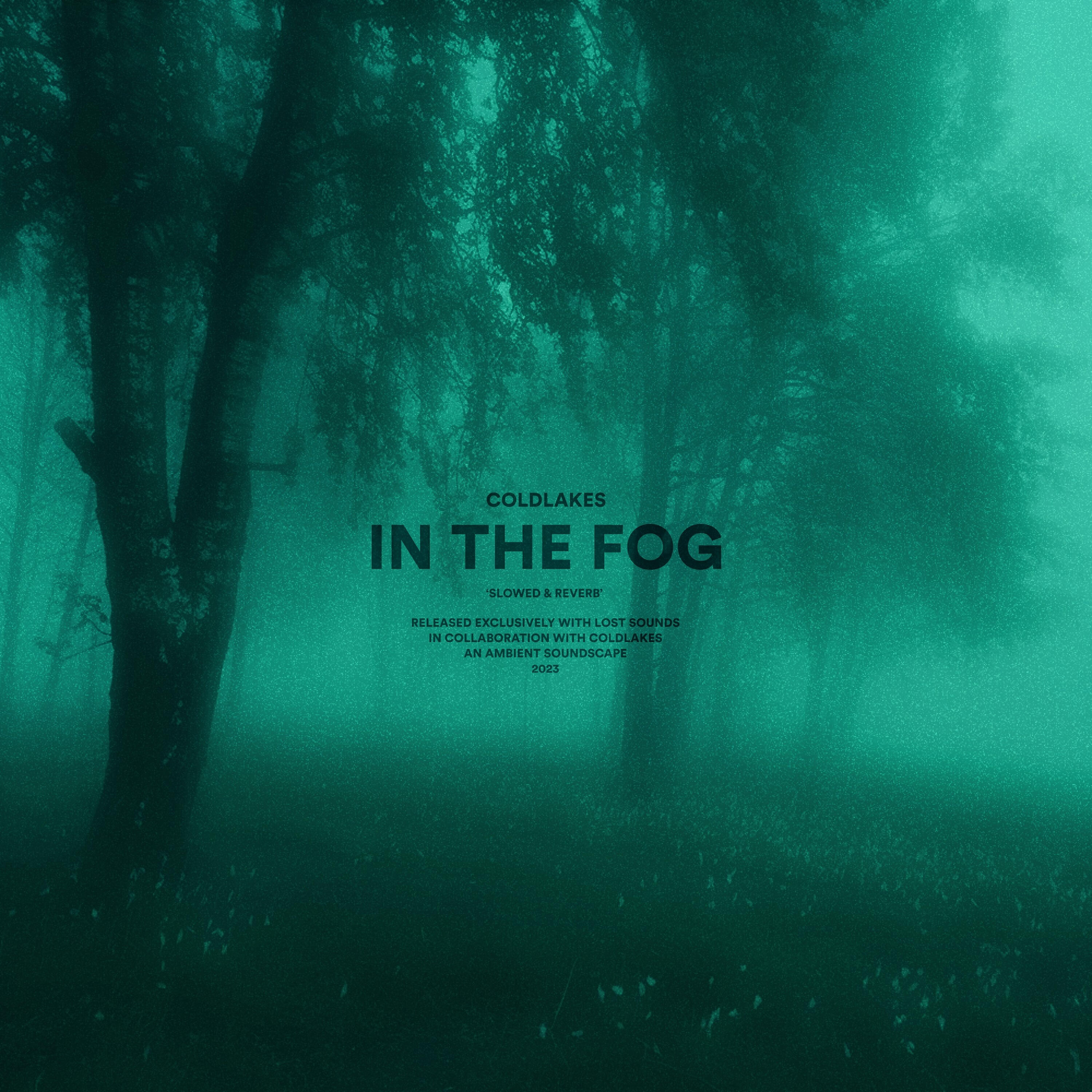 Релиз in the fog (sped up)