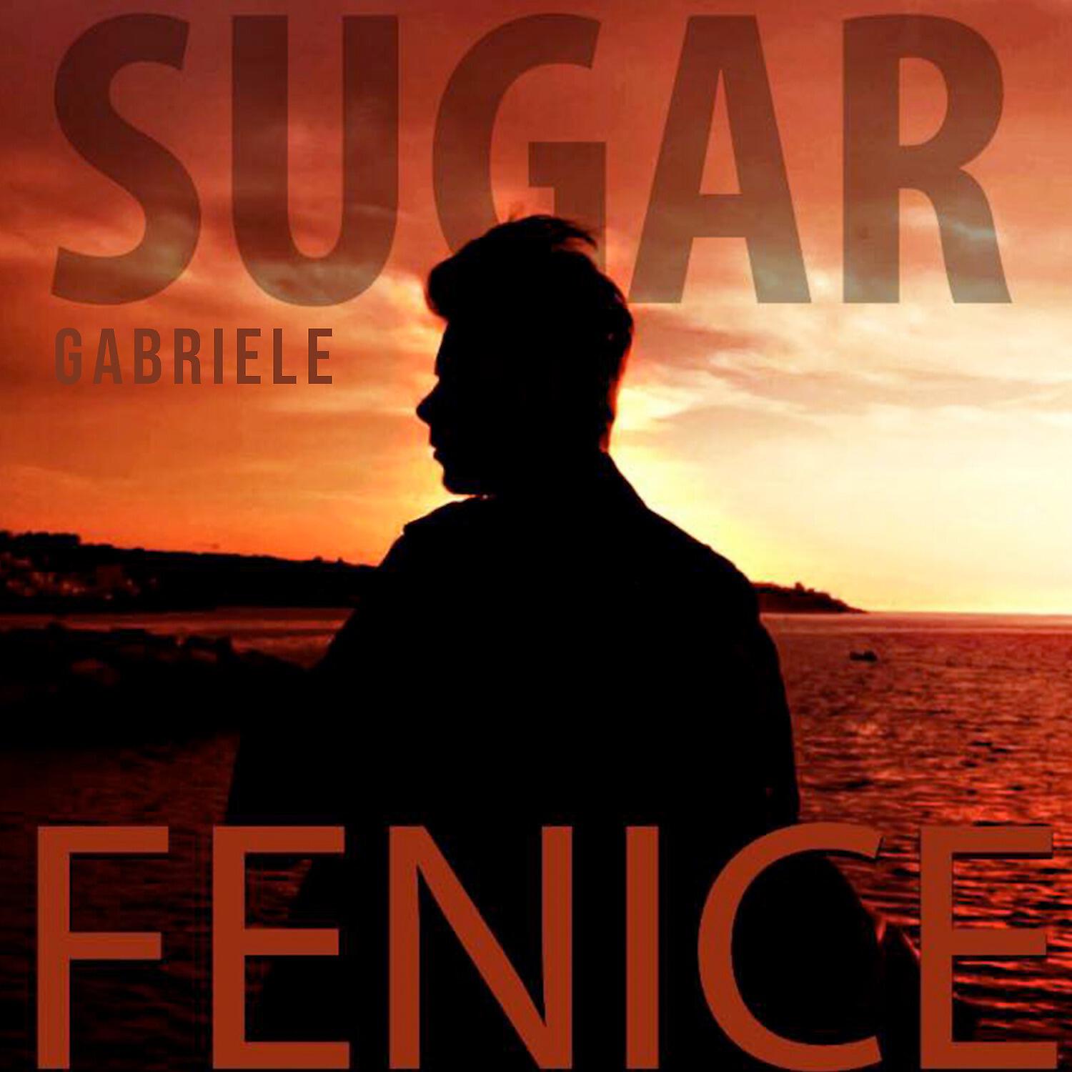 Релиз Fenice