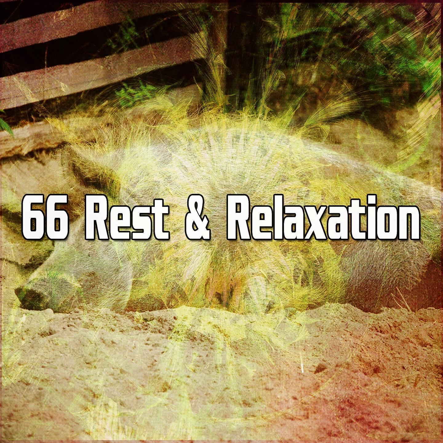 Релиз 66 Rest & Relaxation