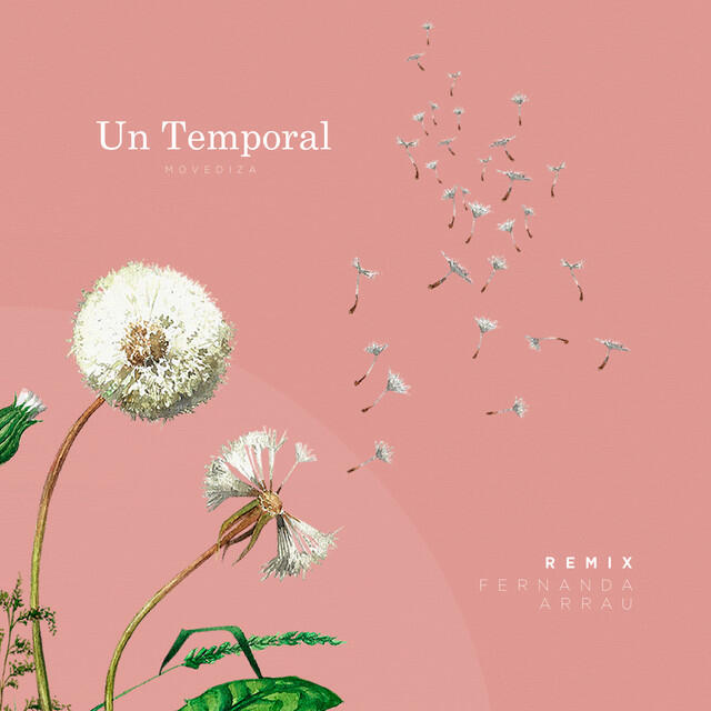 Релиз Un Temporal (Fernanda Arrau Remix)
