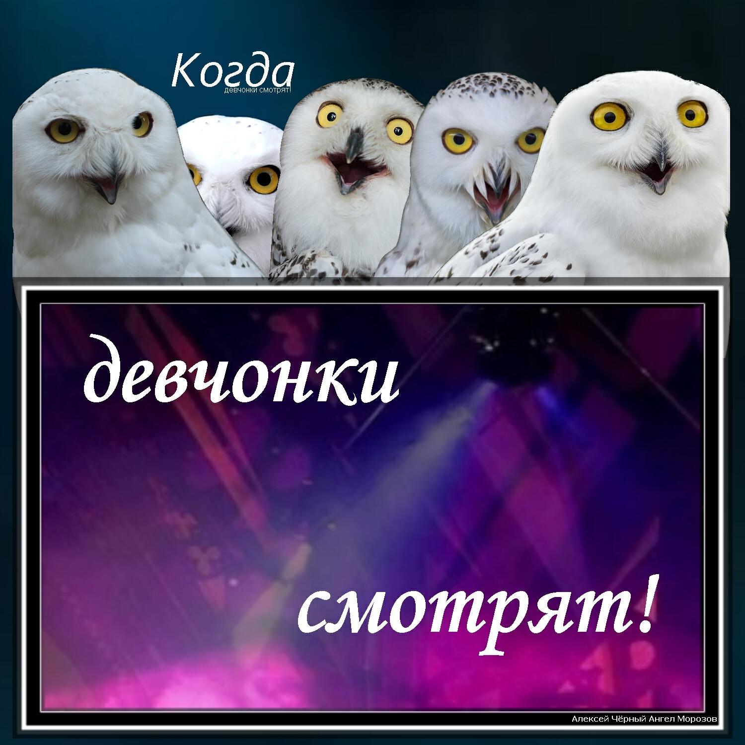 Релиз Когда девчонки смотрят!