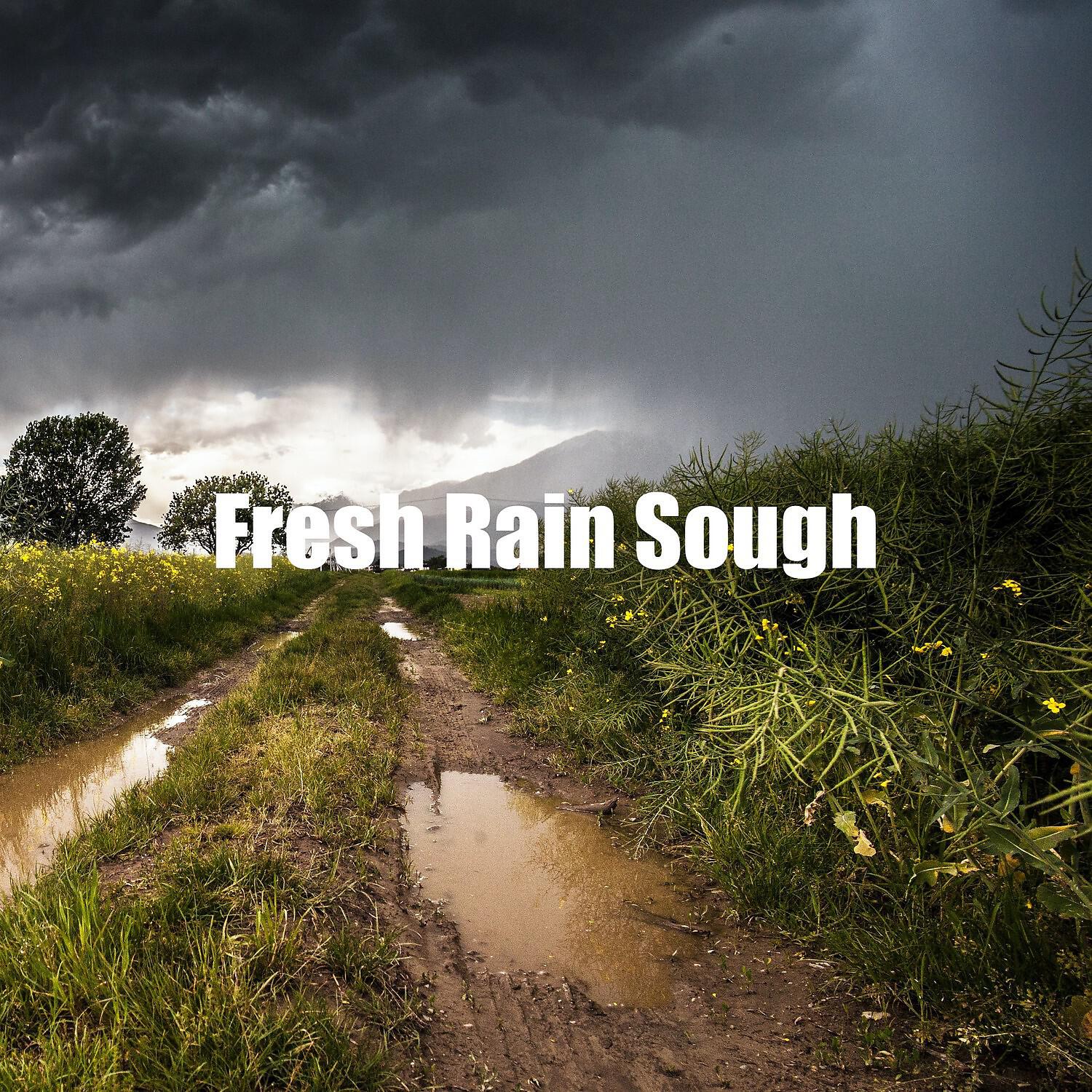Calm Home Office Rain Sounds