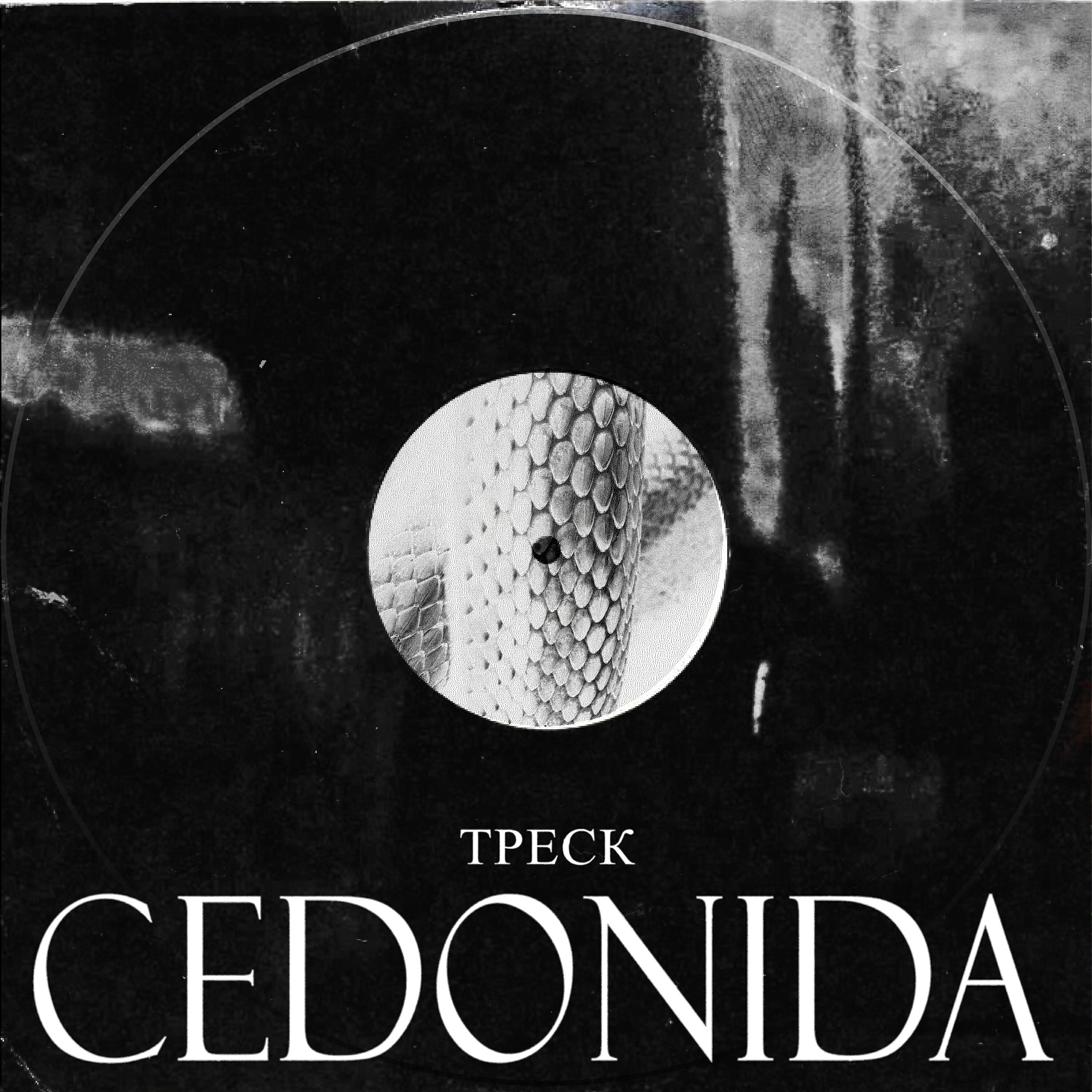 Релиз Треск