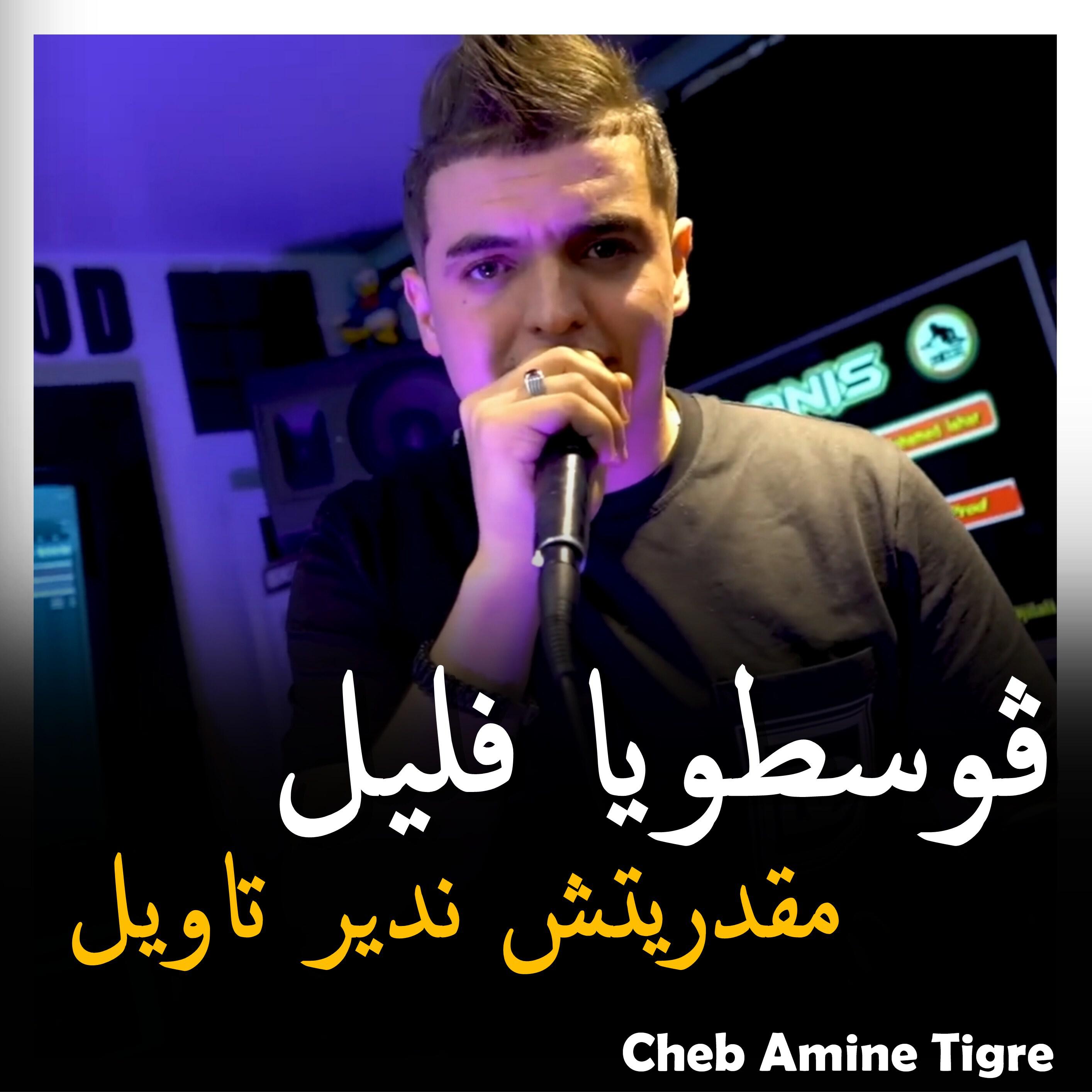 Релиз ڨوسطويا فليل مقدريتش ندير تاويل