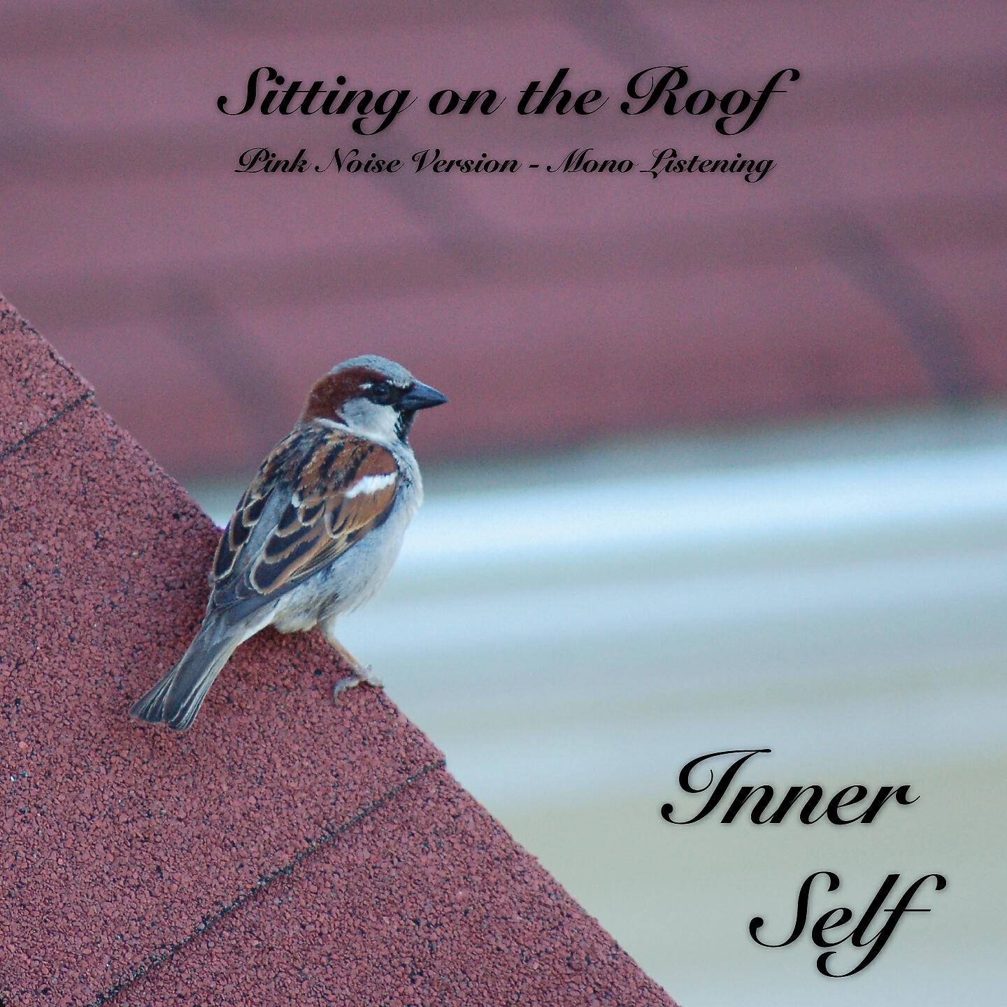 Релиз Sitting on the Roof - Pink Noise Version - Mono Listening