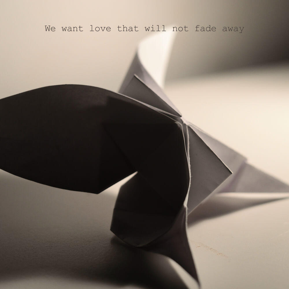 Релиз We want love that will not fade away