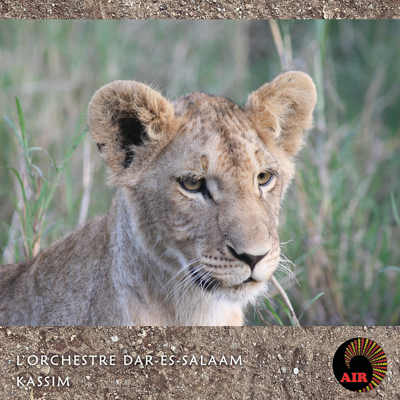 L'orchestre Dar-Es-Salaam