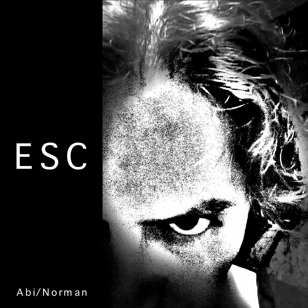 Релиз ESC