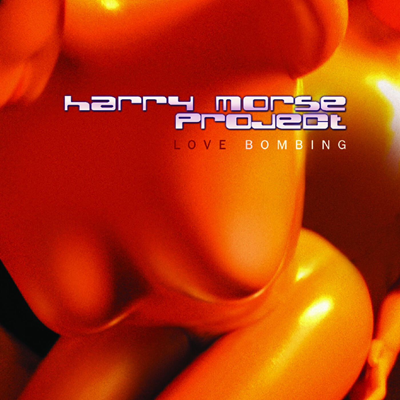 harry morse project