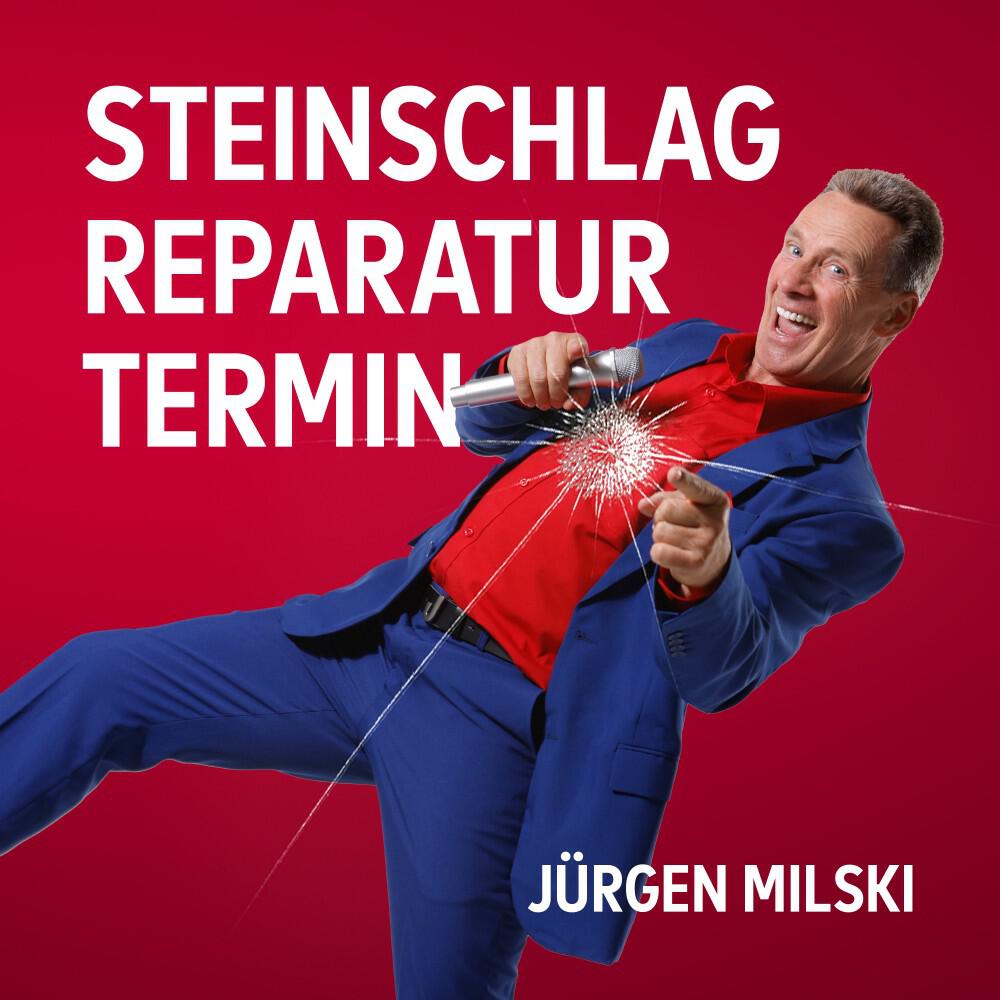 Релиз Steinschlagreparaturtermin (Partyversion)