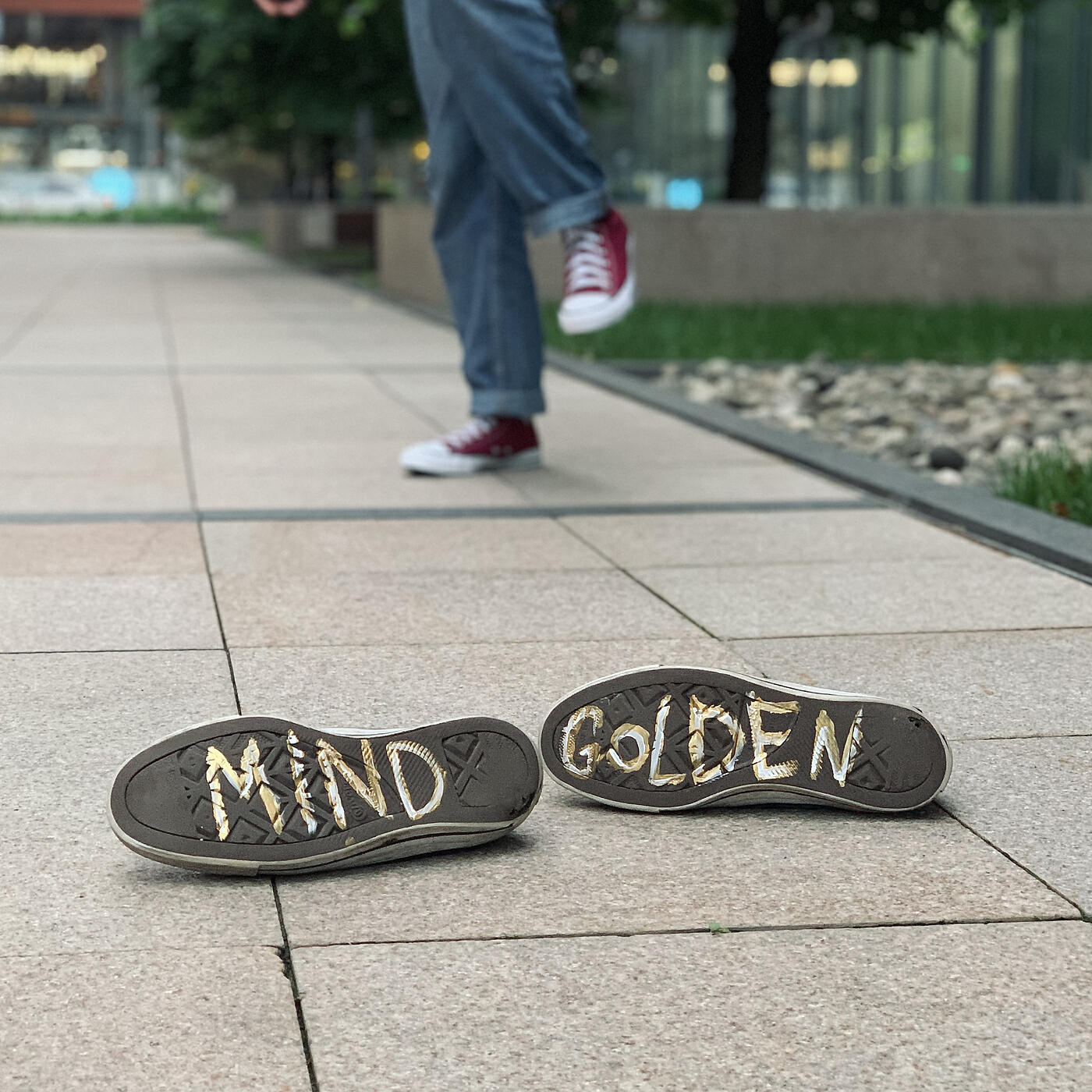 Постер альбома Mindgolden