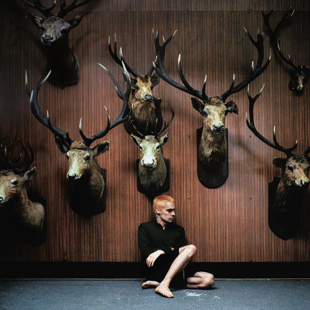 Релиз Deer Teeth