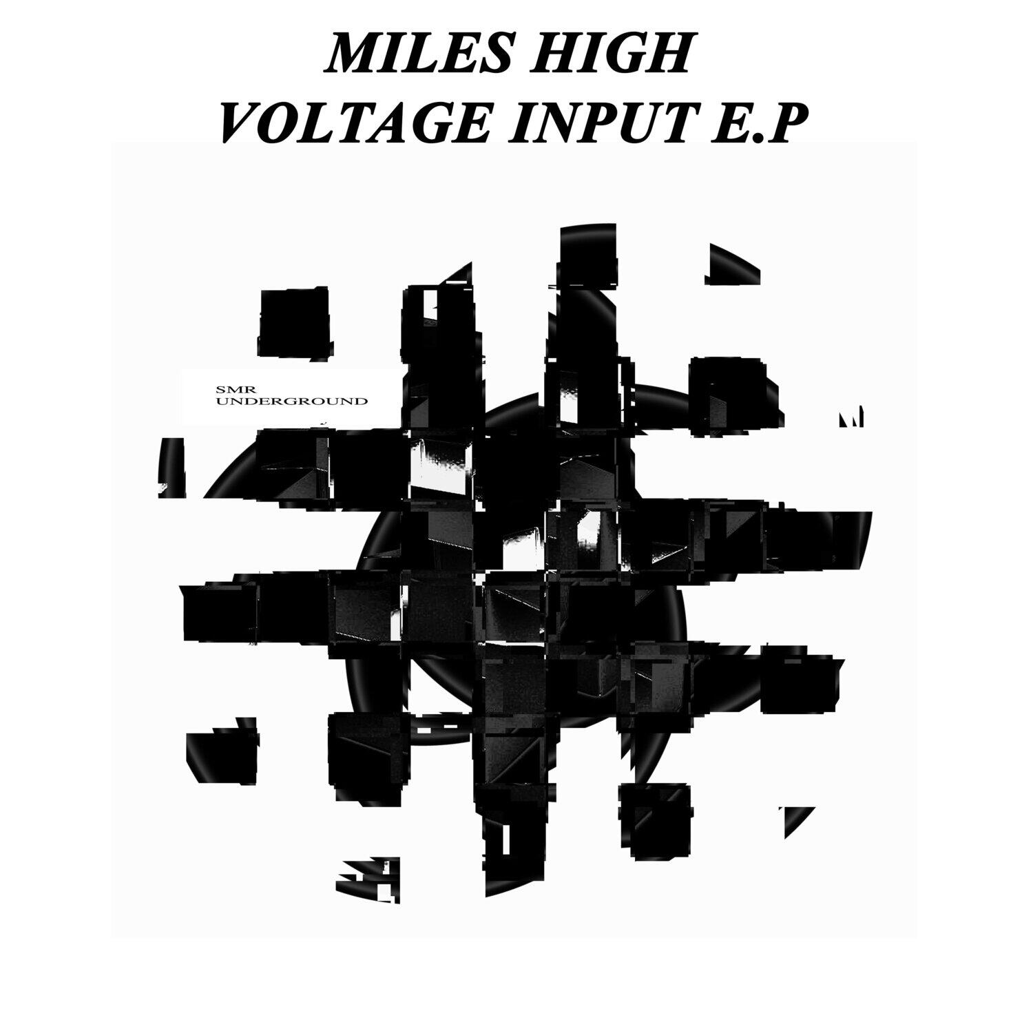 Релиз Voltage Input E.P