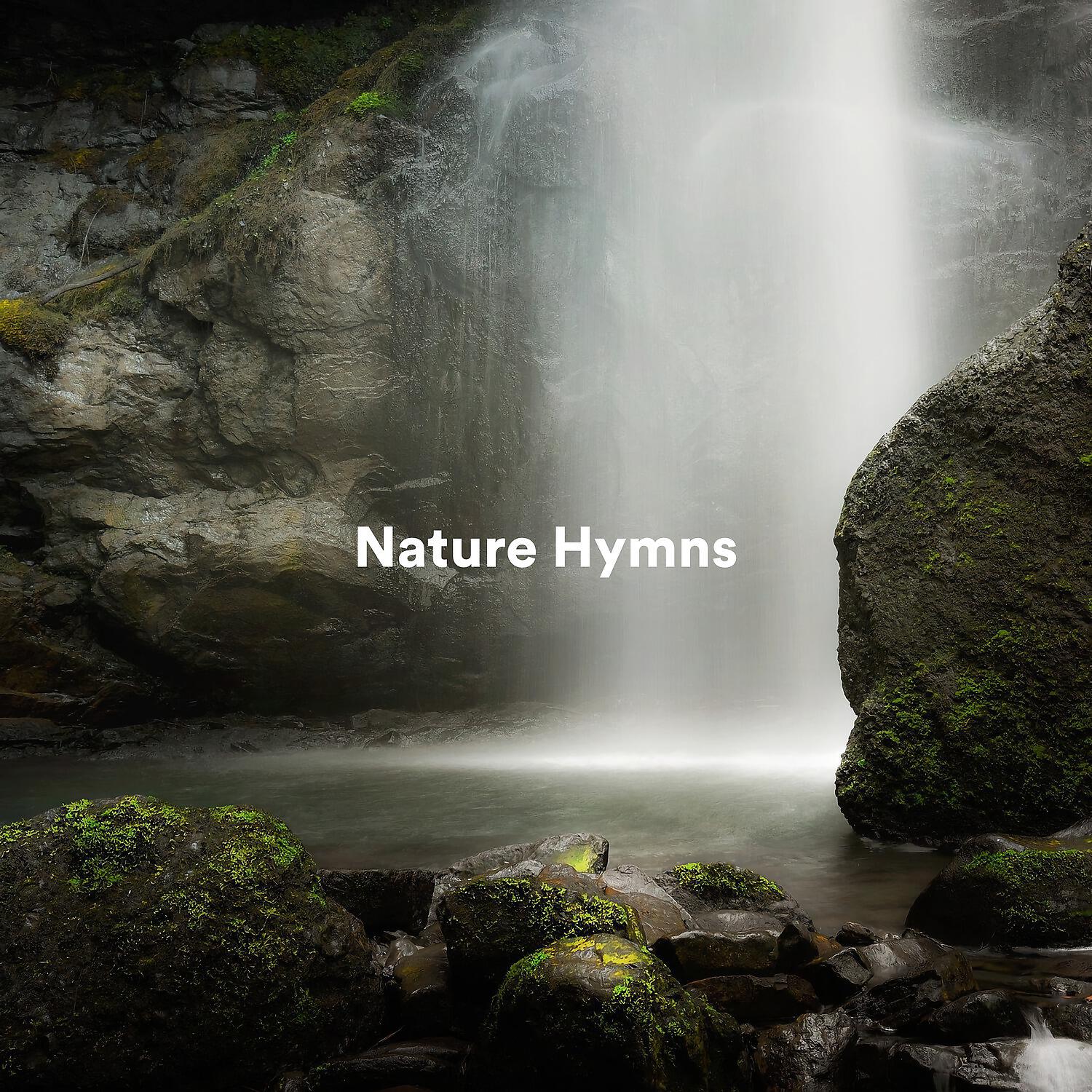 Релиз Nature Hymns